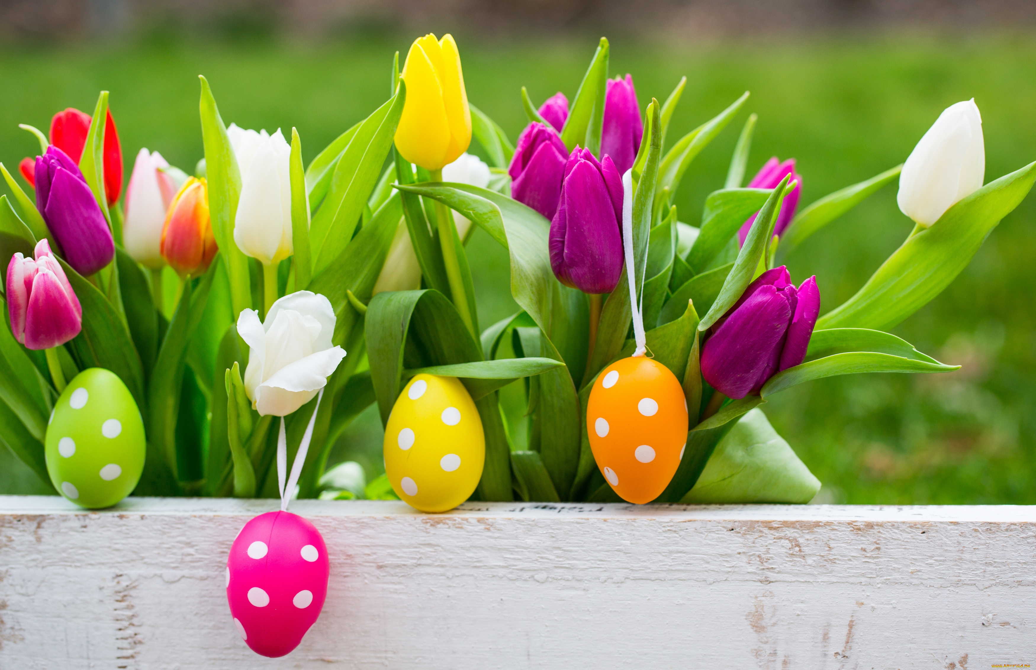 праздничные, пасха, яйца, пасхальные, easter, happy