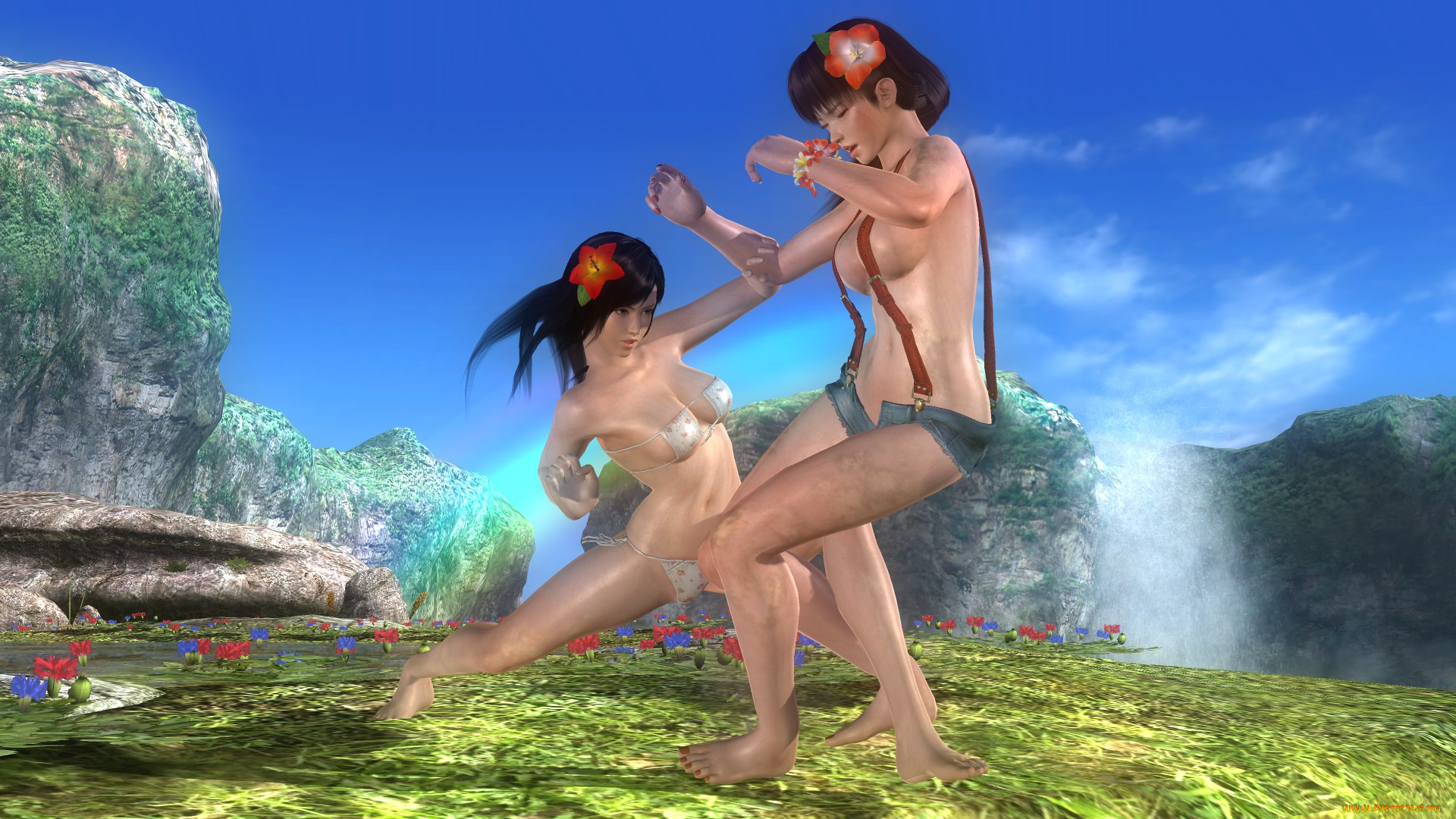 3д, графика, аниме, , anime, взгляд, девушки, борьба, фон