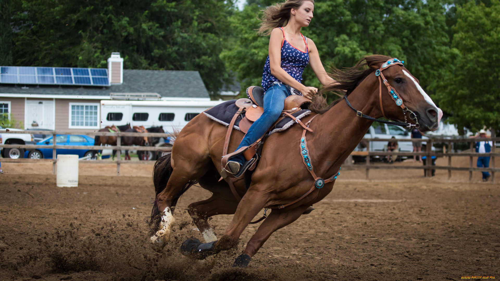 спорт, конный, спорт, скачки, лошадь, всадник