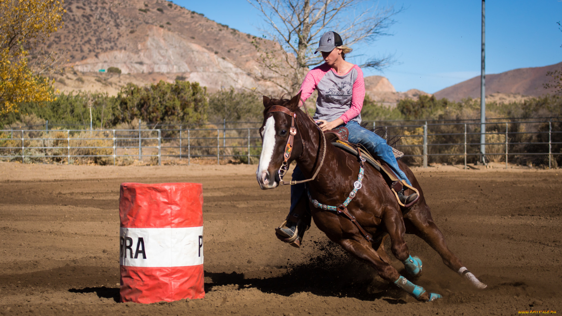 спорт, конный, спорт, скачки, всадник, лошадь