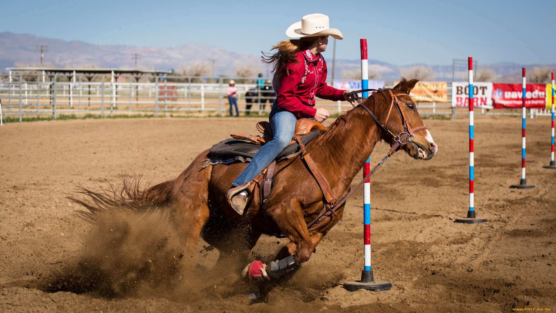 спорт, конный, спорт, скачки, всадник, лошадь