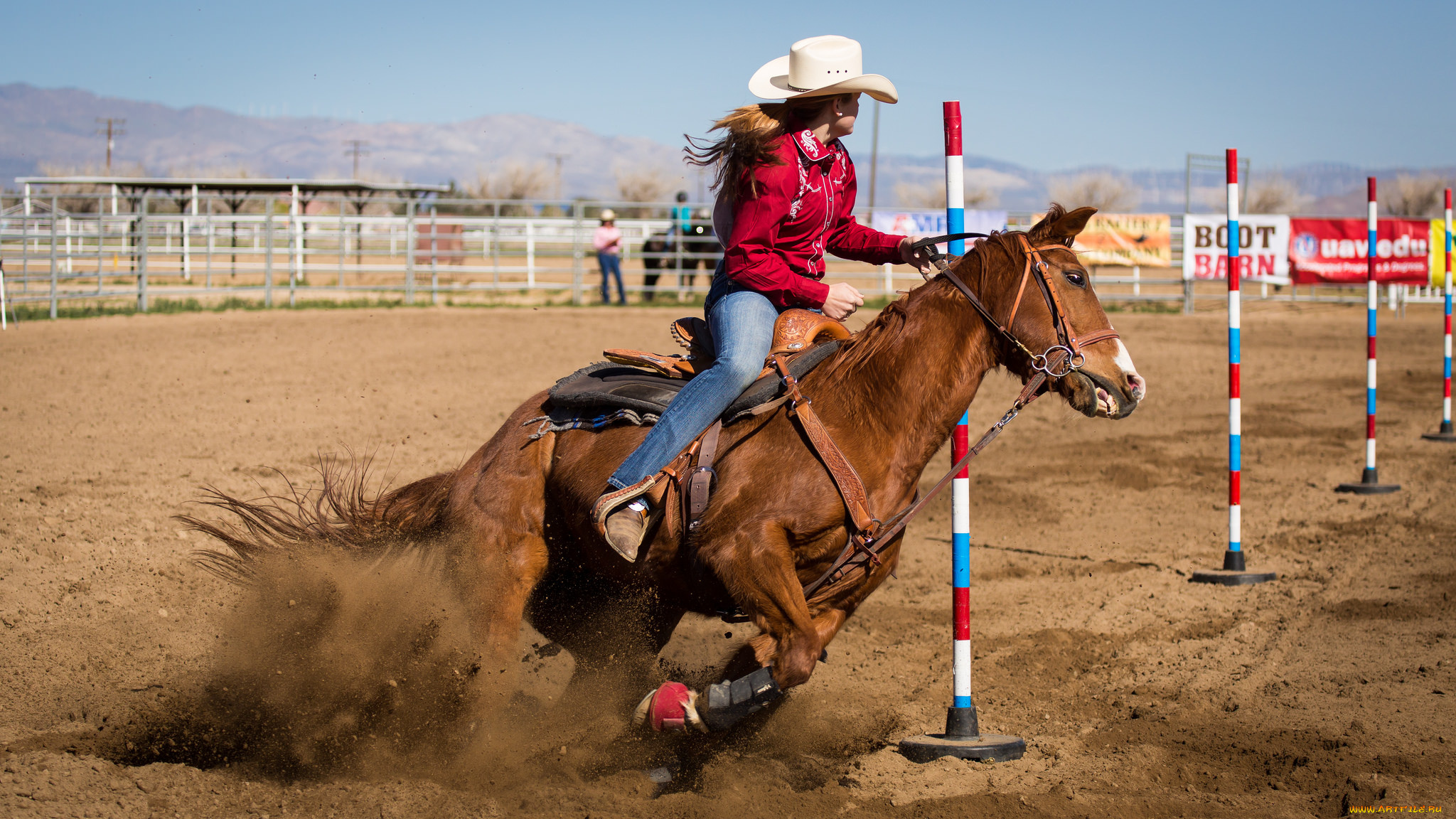 спорт, конный, спорт, скачки, всадник, лошадь