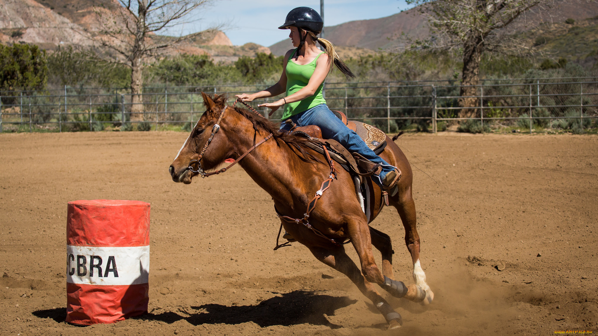 спорт, конный, спорт, всадник, лошадь, скачки