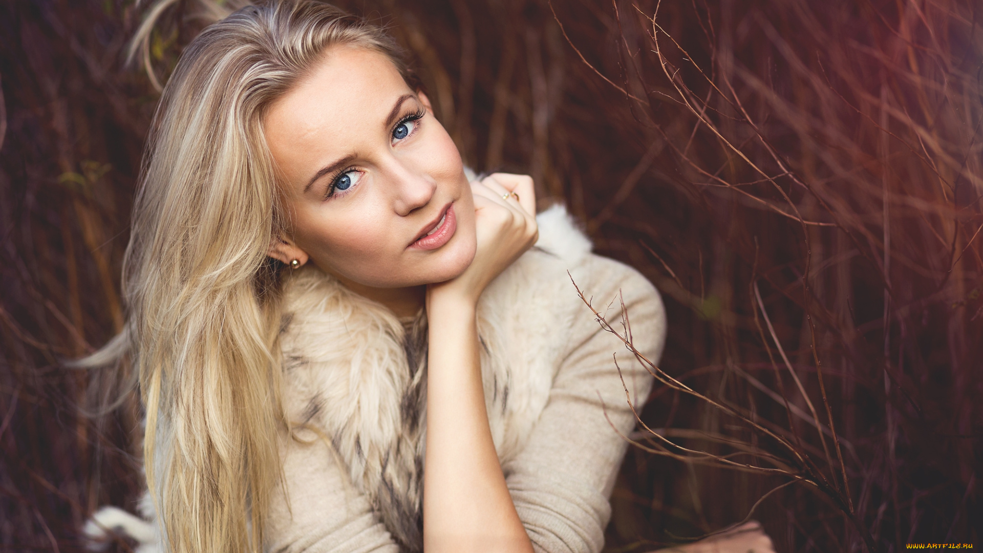 девушки, -unsort, , блондинки, взгляд, лицо