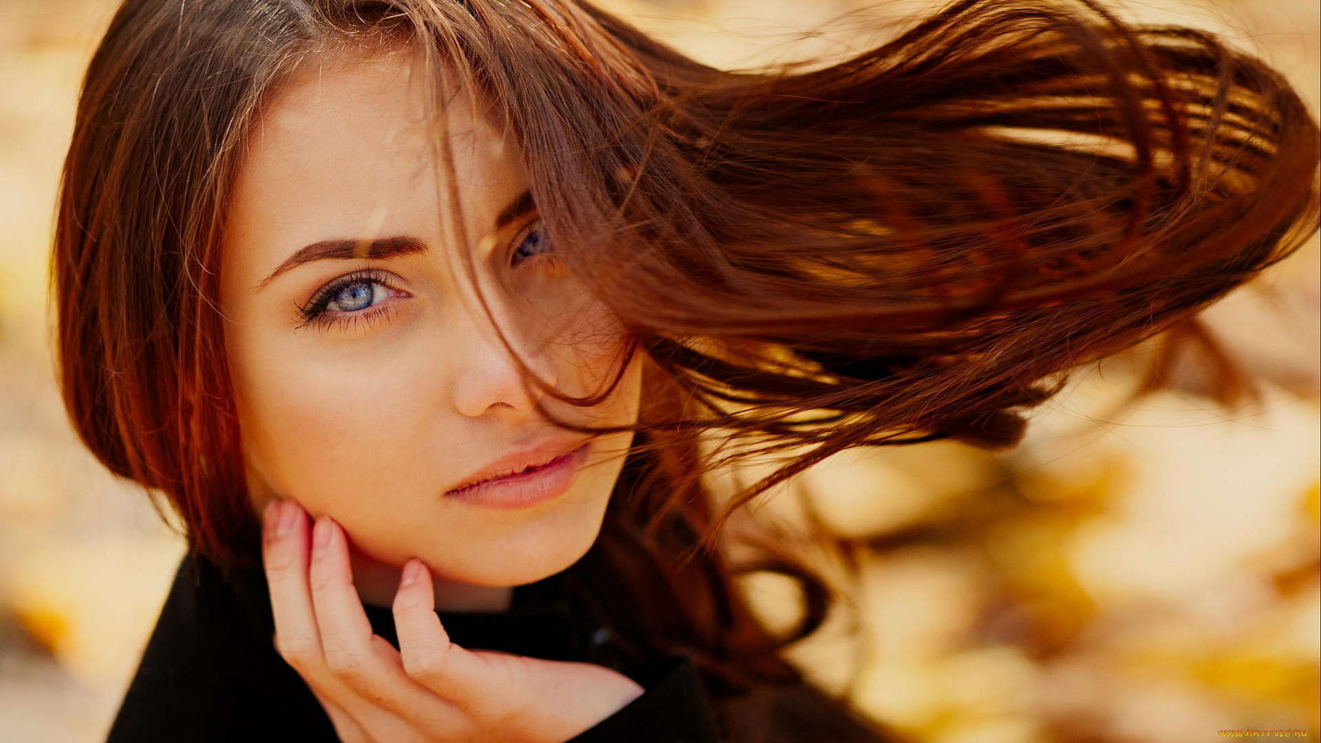 девушки, -unsort, , лица, , портреты, лицо, волосы, ветер, взгляд, осень