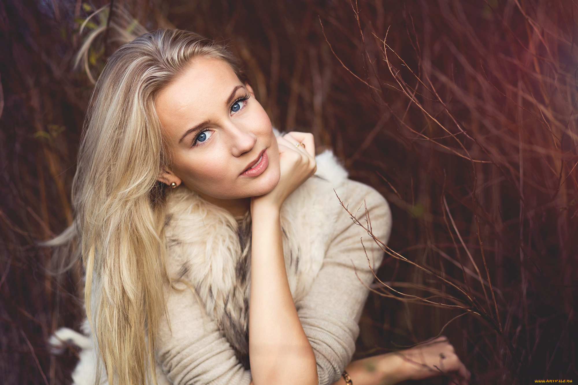 девушки, -unsort, , блондинки, взгляд, лицо