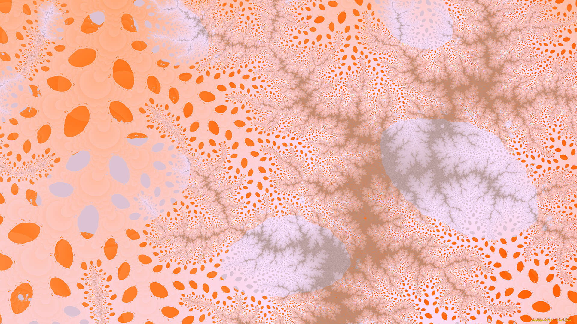 3д, графика, фракталы, , fractal, цвета, фон, узор