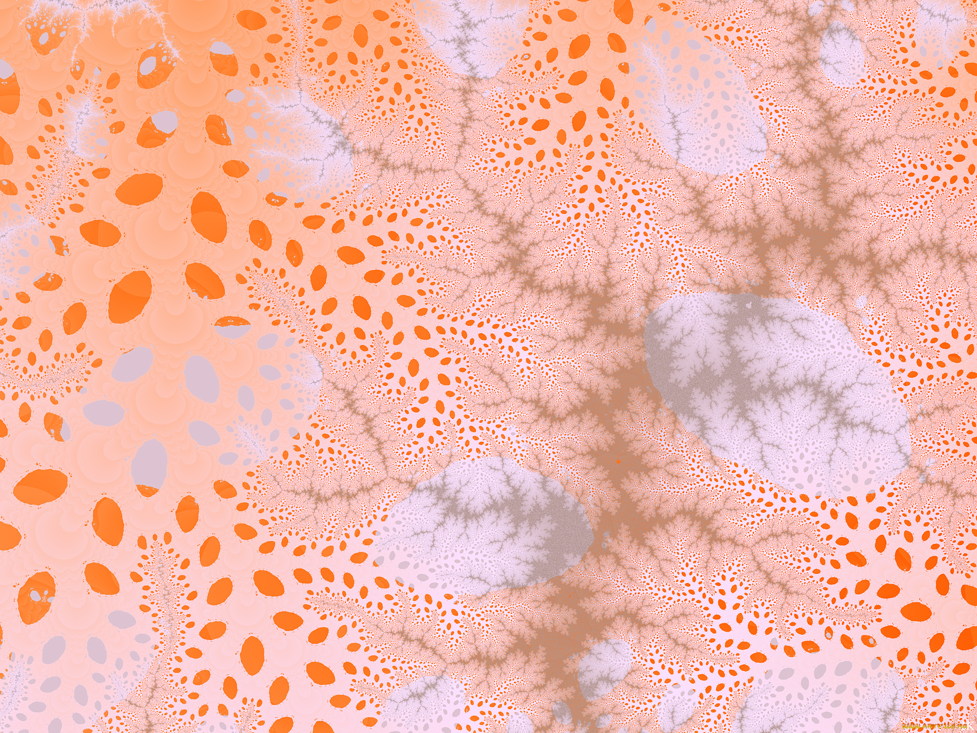 3д, графика, фракталы, , fractal, цвета, фон, узор