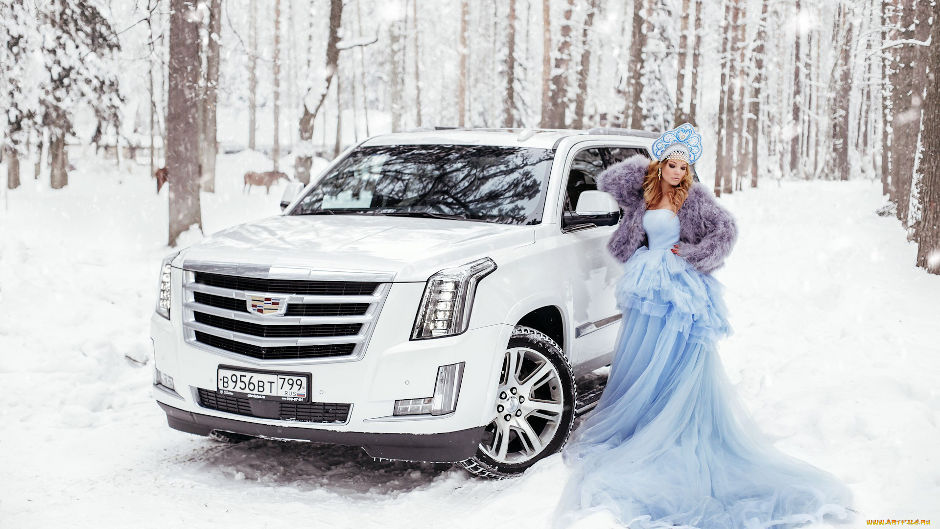 автомобили, -авто, с, девушками, девушки, авто