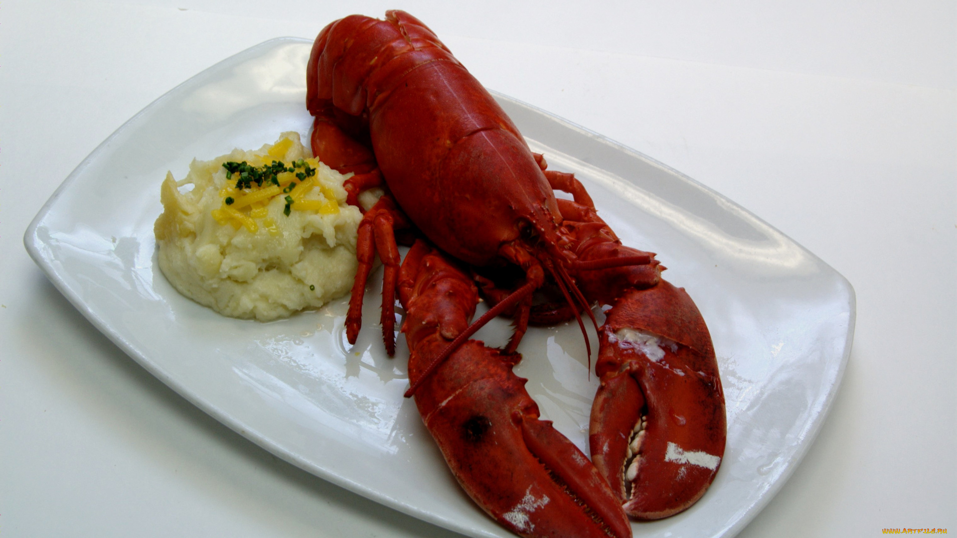 еда, рыба, , морепродукты, , суши, , роллы, лобстер