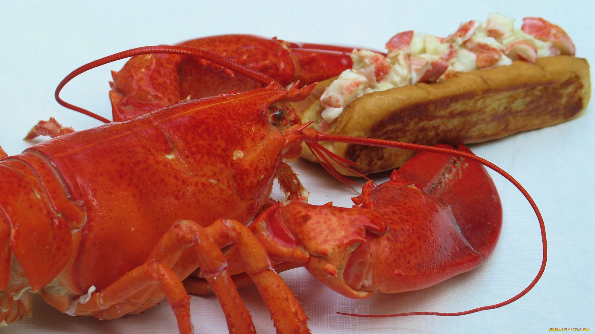 еда, рыба, , морепродукты, , суши, , роллы, лобстер