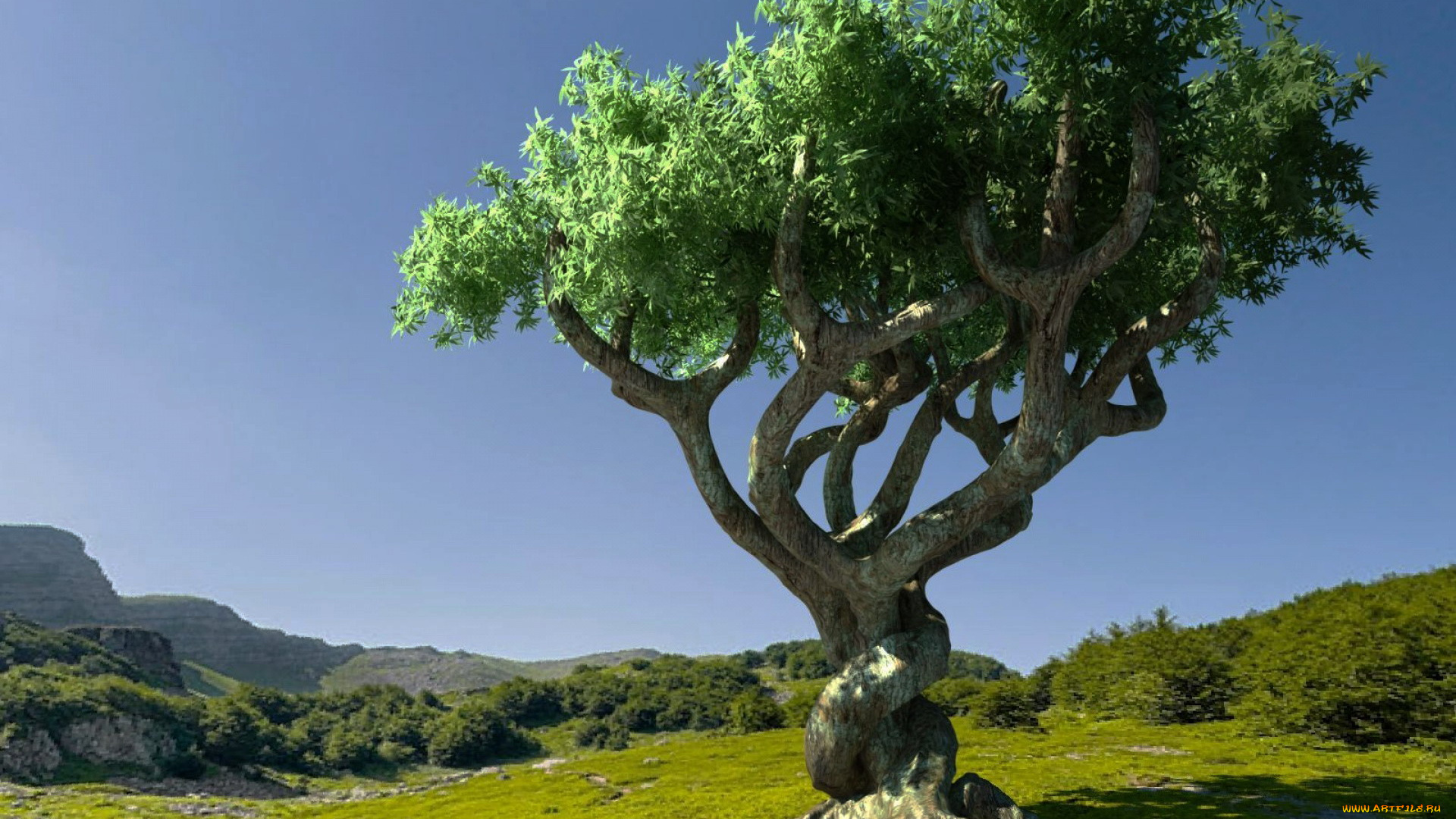 природа, деревья, корни, дерево, луг