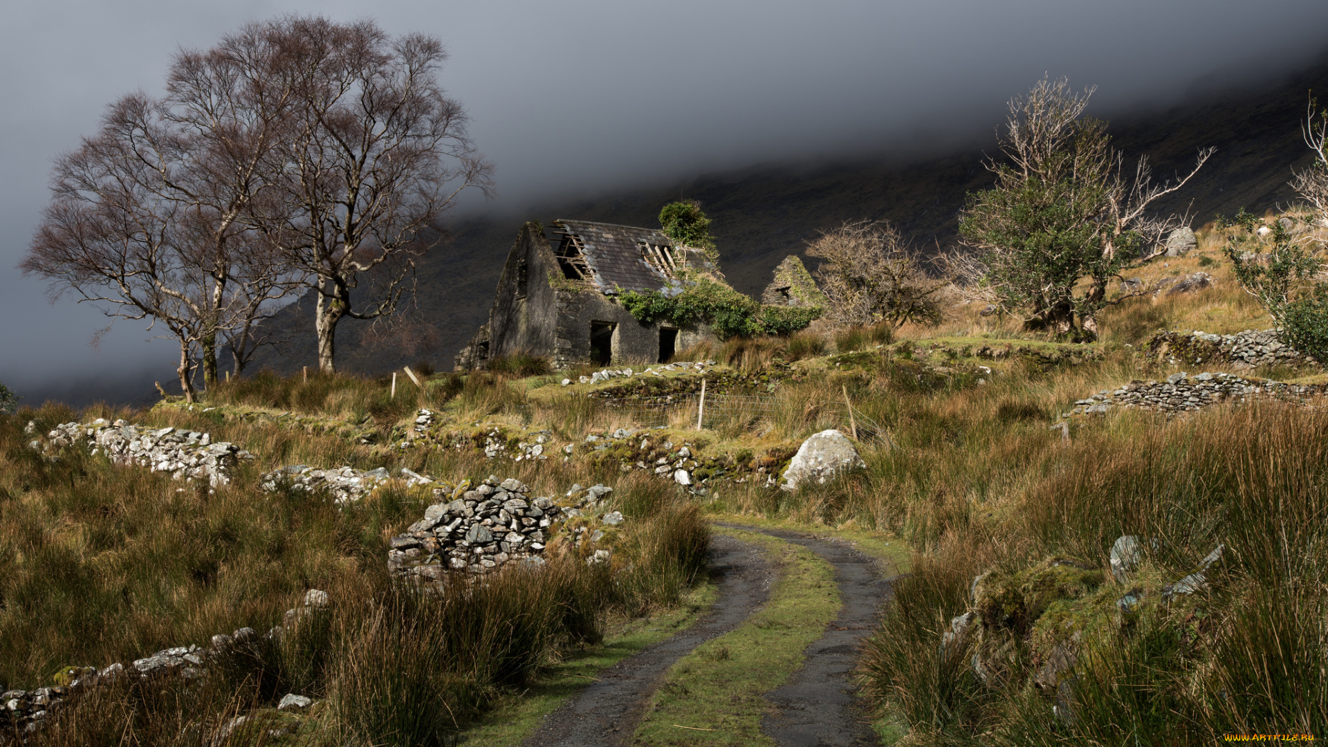 природа, дороги, простор