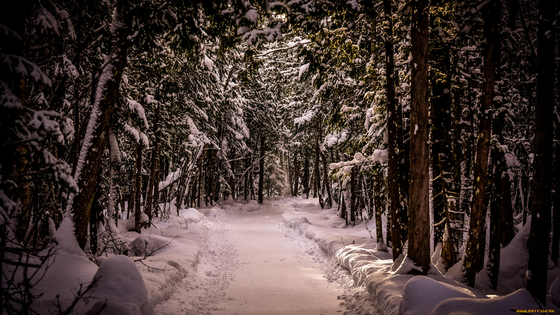 природа, дороги, простор