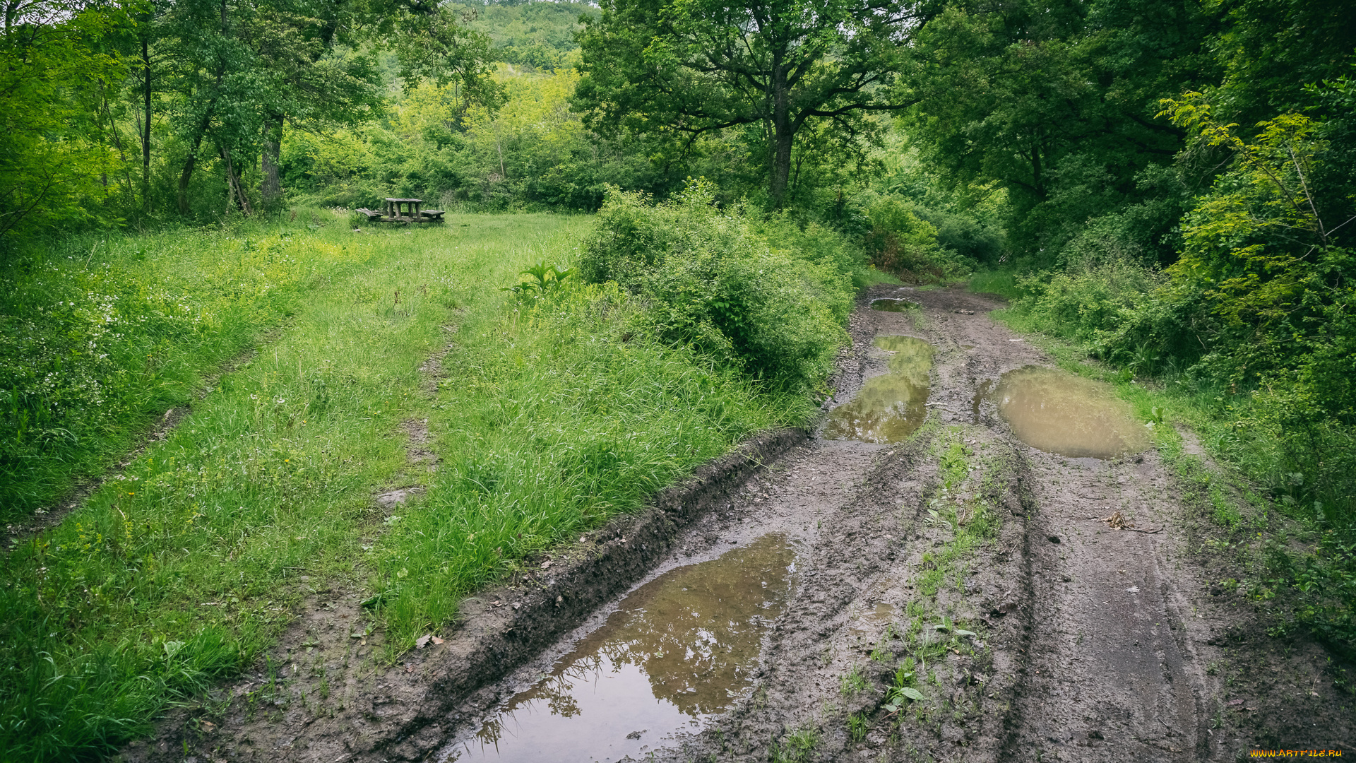 природа, дороги, простор