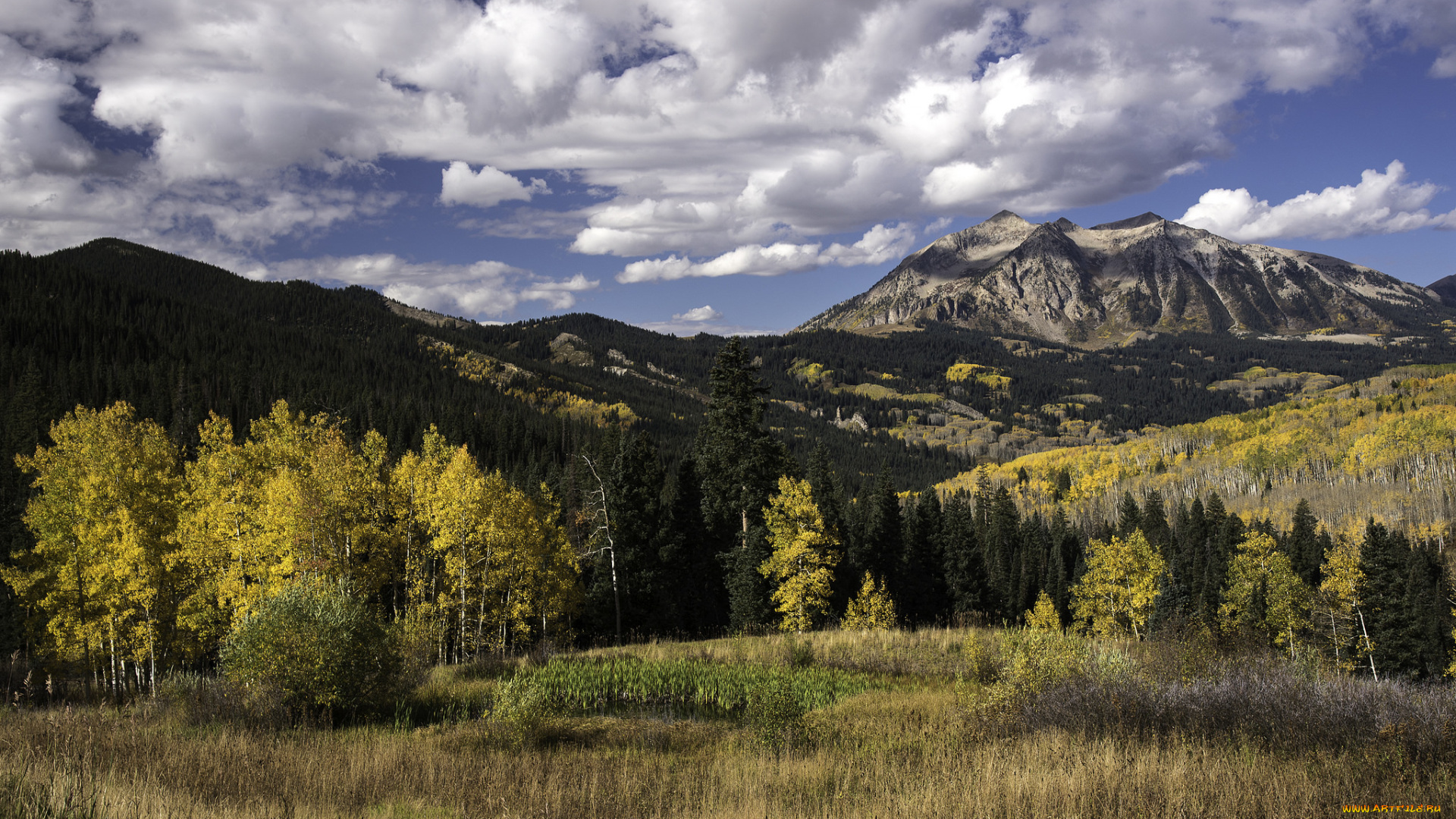 природа, горы, простор