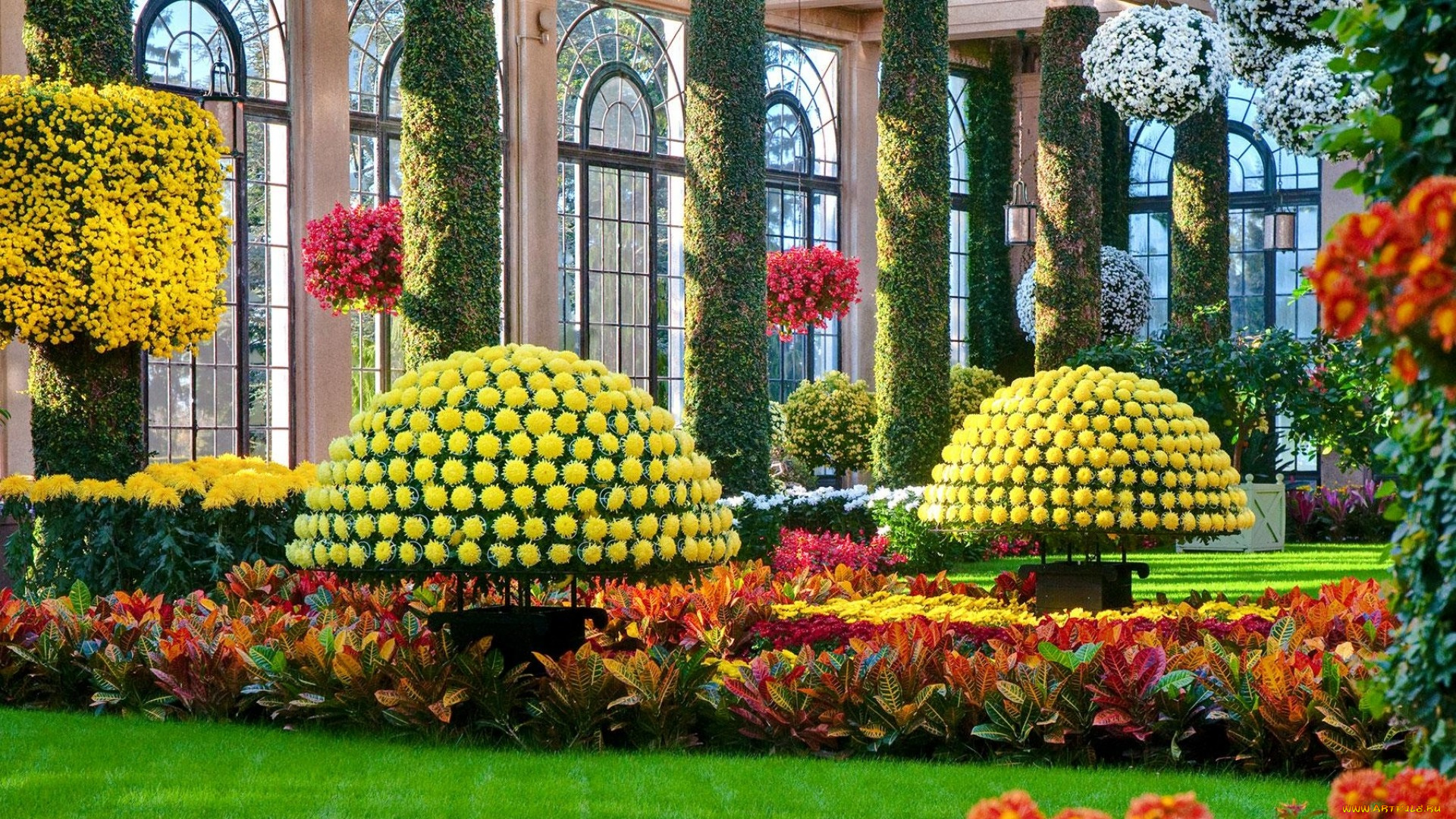 природа, парк, оранжерея