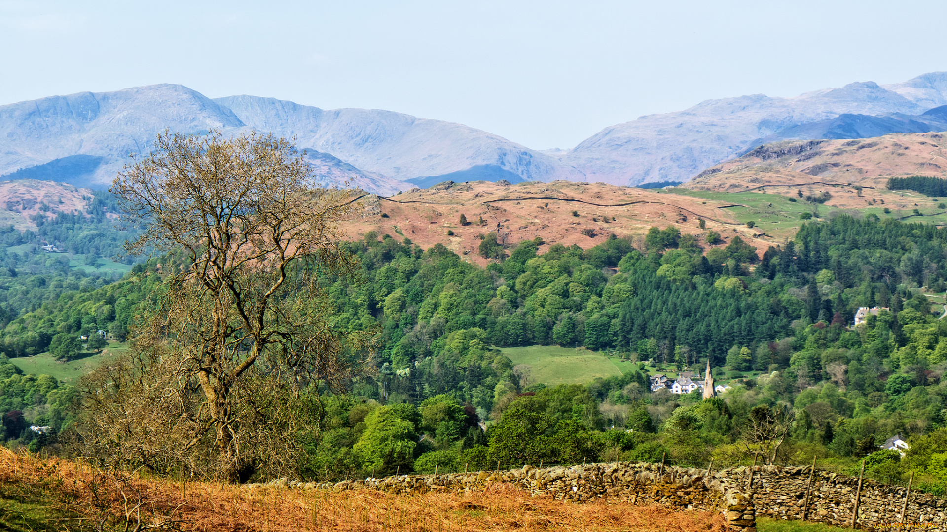 природа, пейзажи, простор