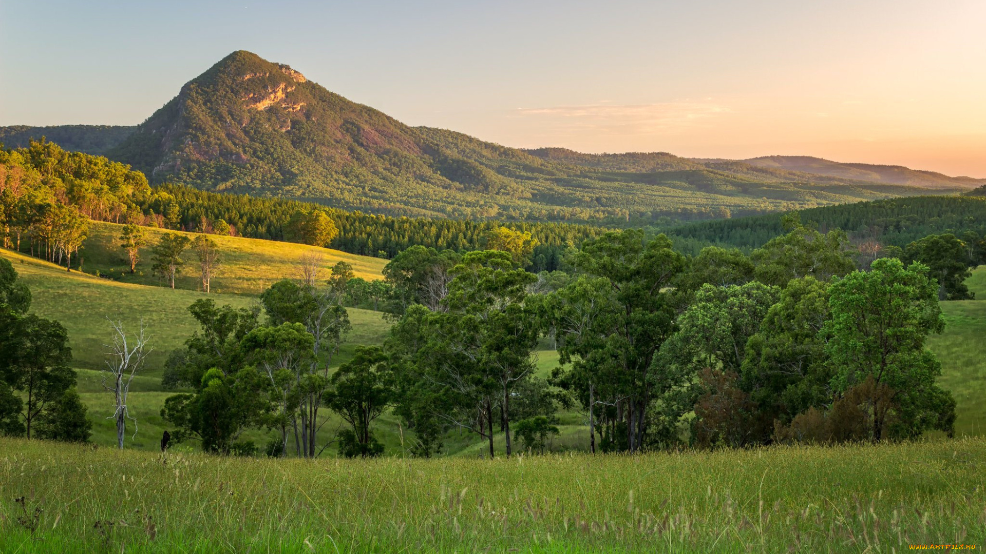 природа, пейзажи, простор