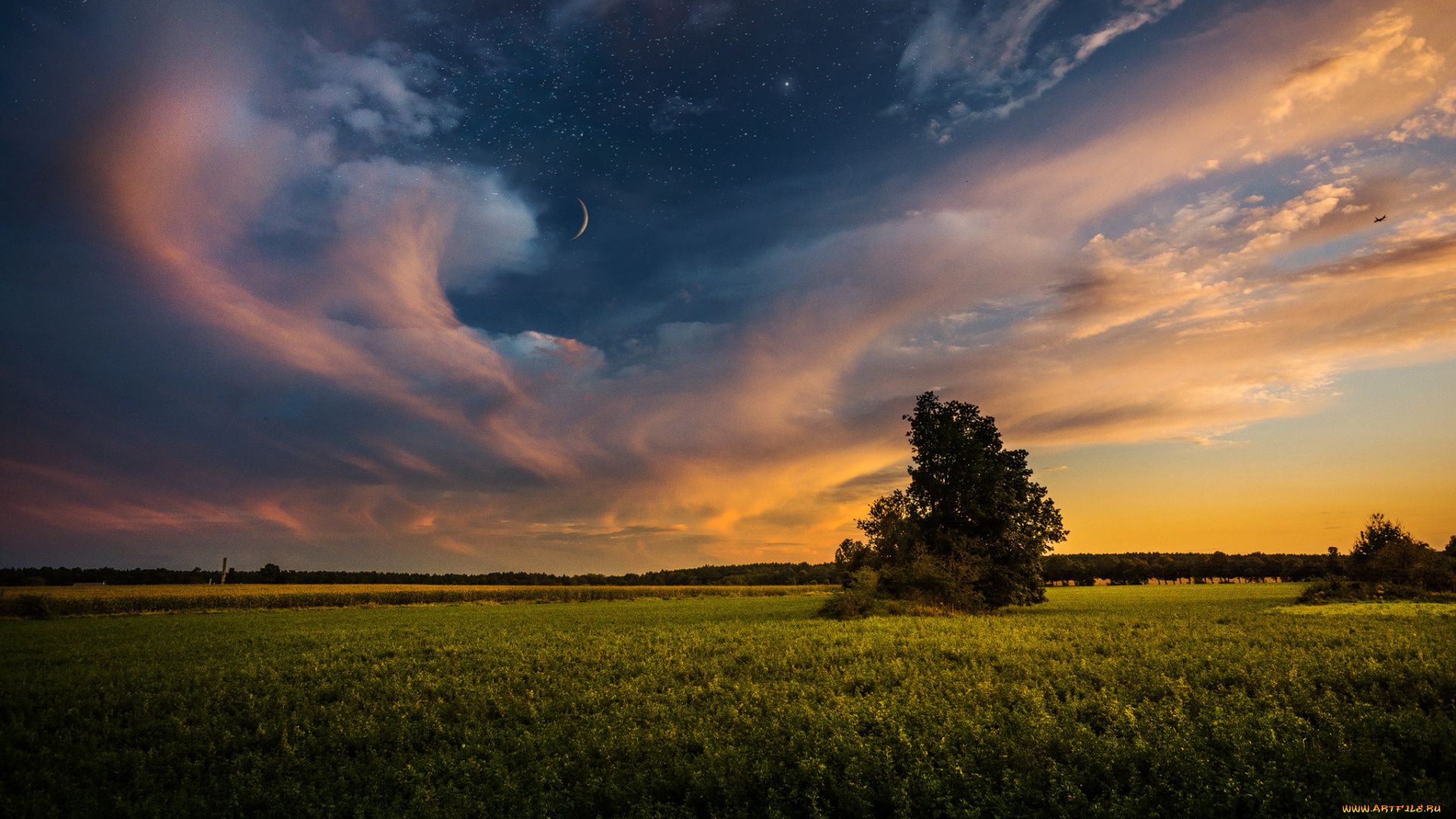 природа, пейзажи, простор