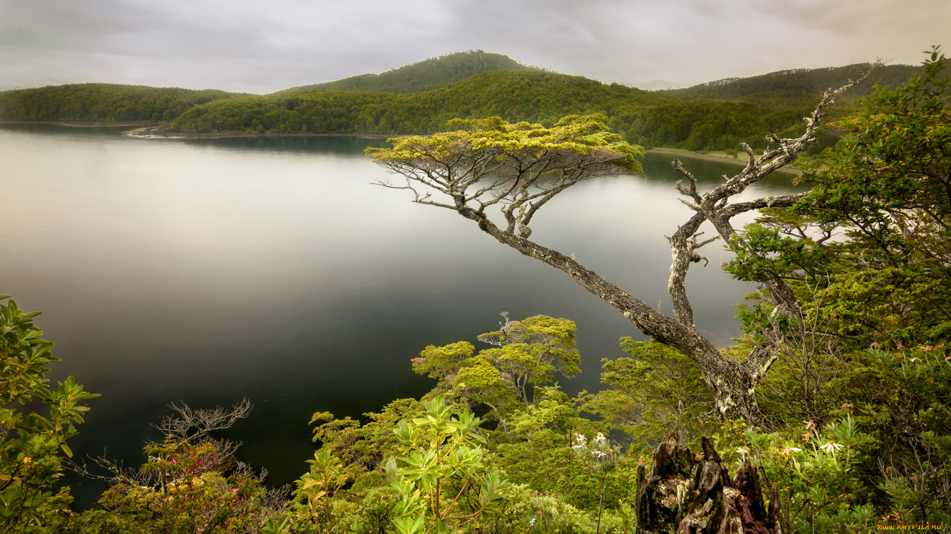 природа, пейзажи, простор