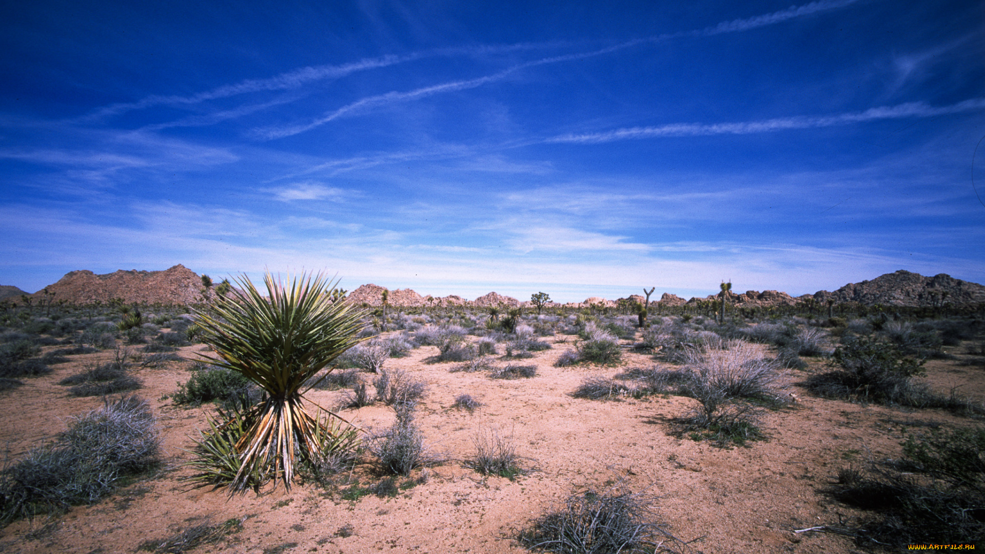 природа, пустыни, простор