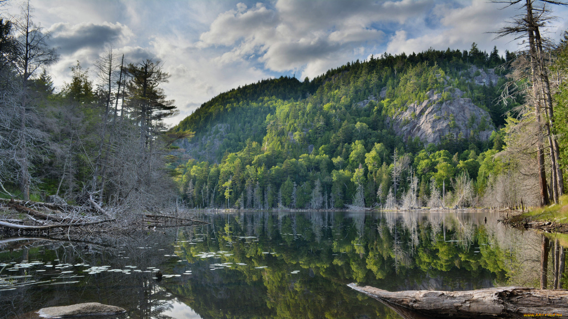 природа, реки, озера, простор