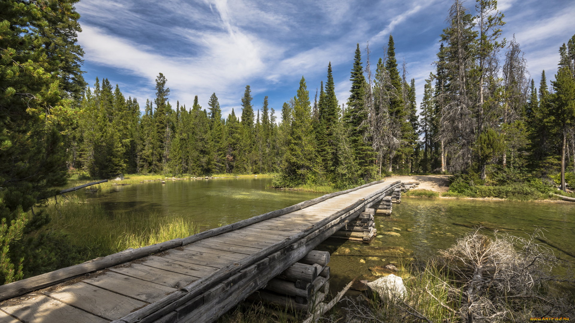 природа, реки, озера, простор