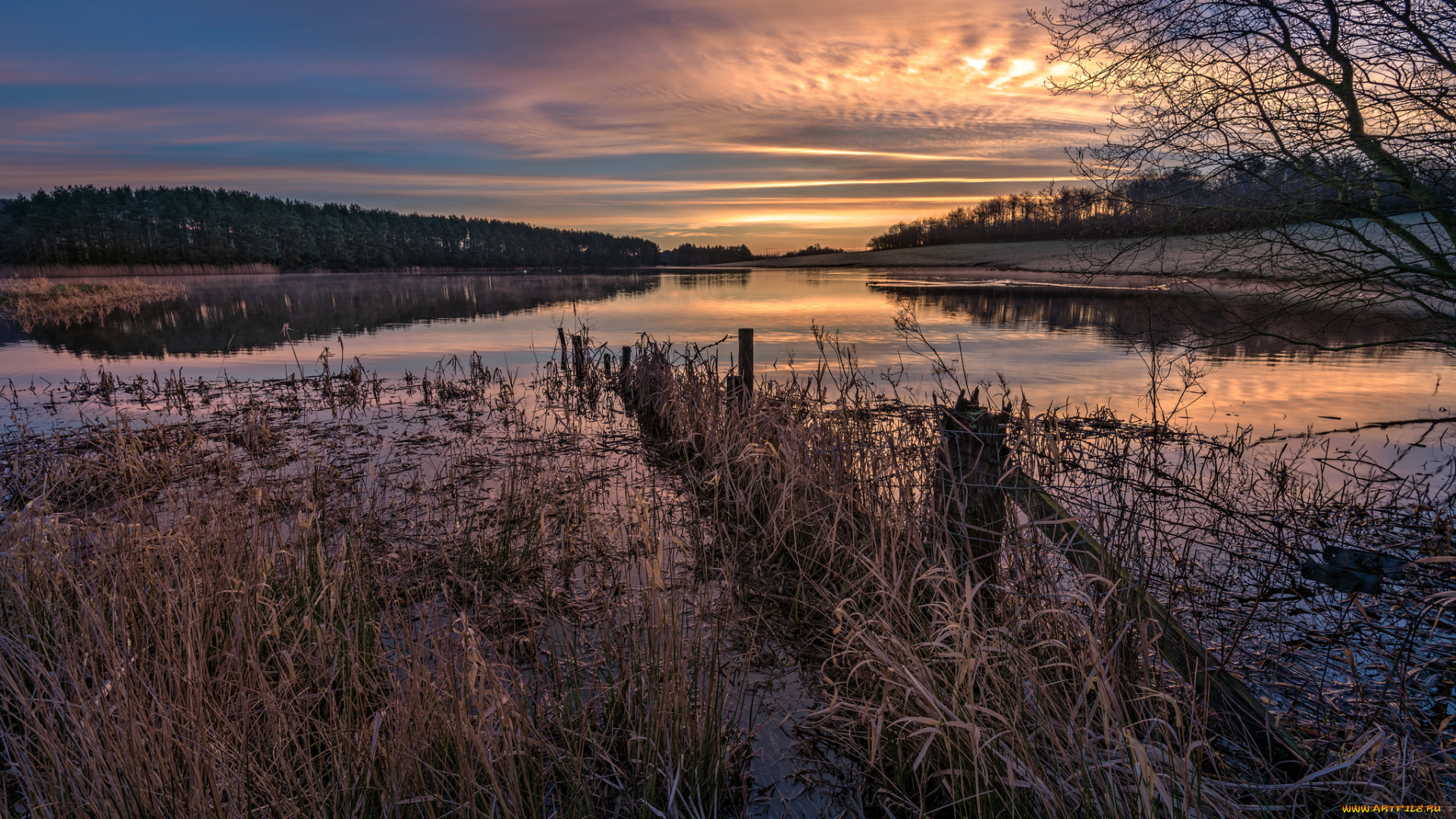 природа, реки, озера, простор