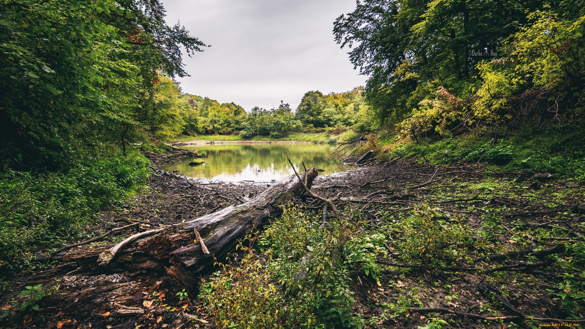 природа, реки, озера, простор