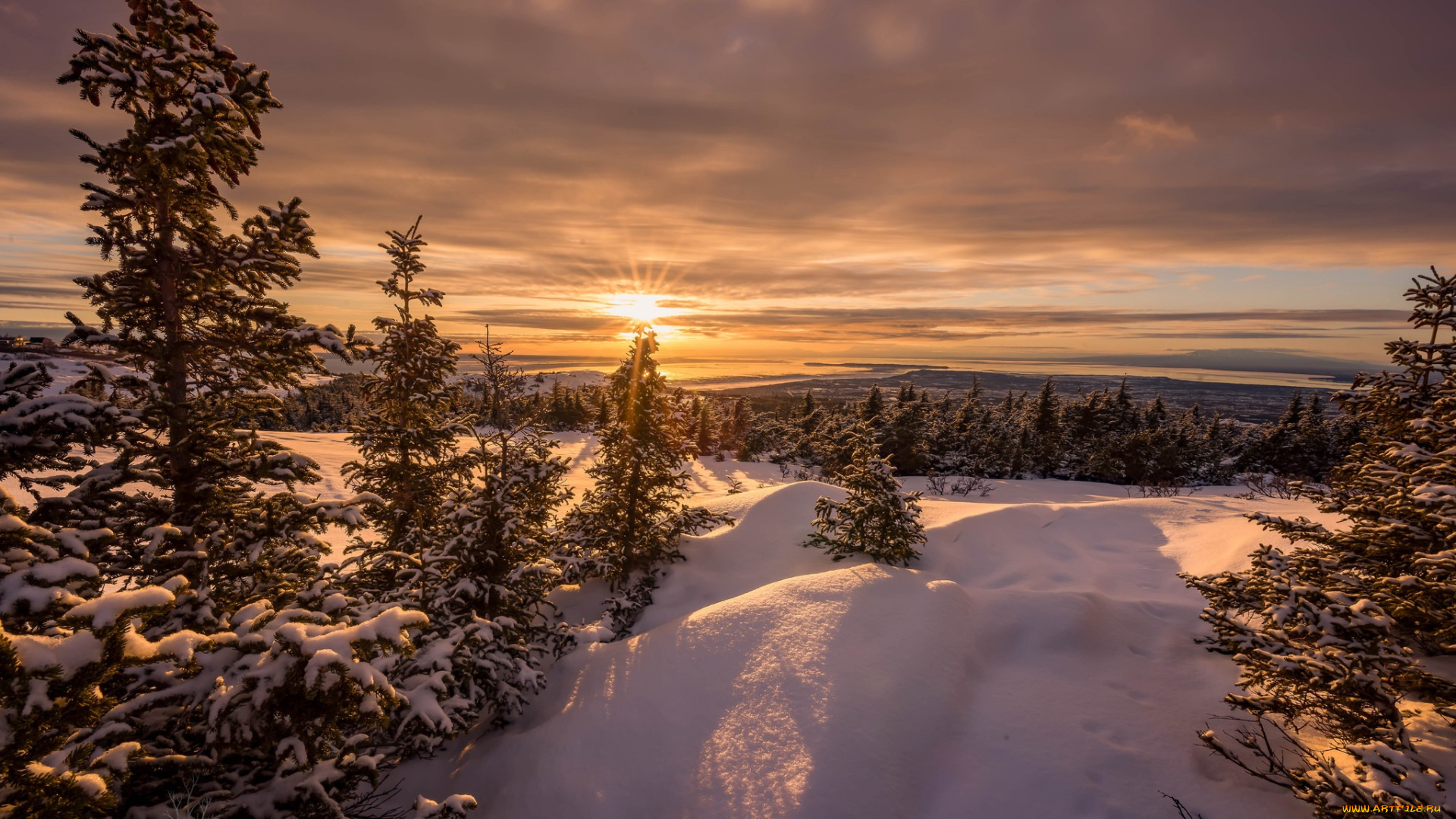 природа, восходы, закаты, утро, снег, лес, зима