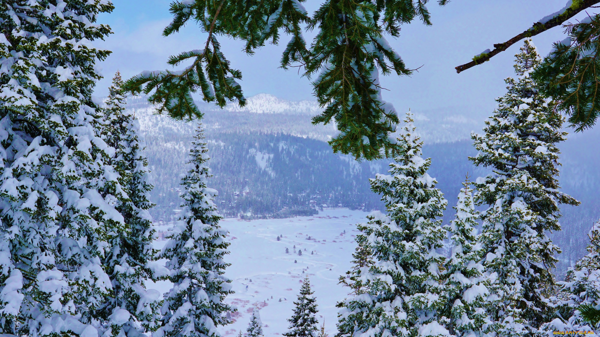 природа, зима, простор