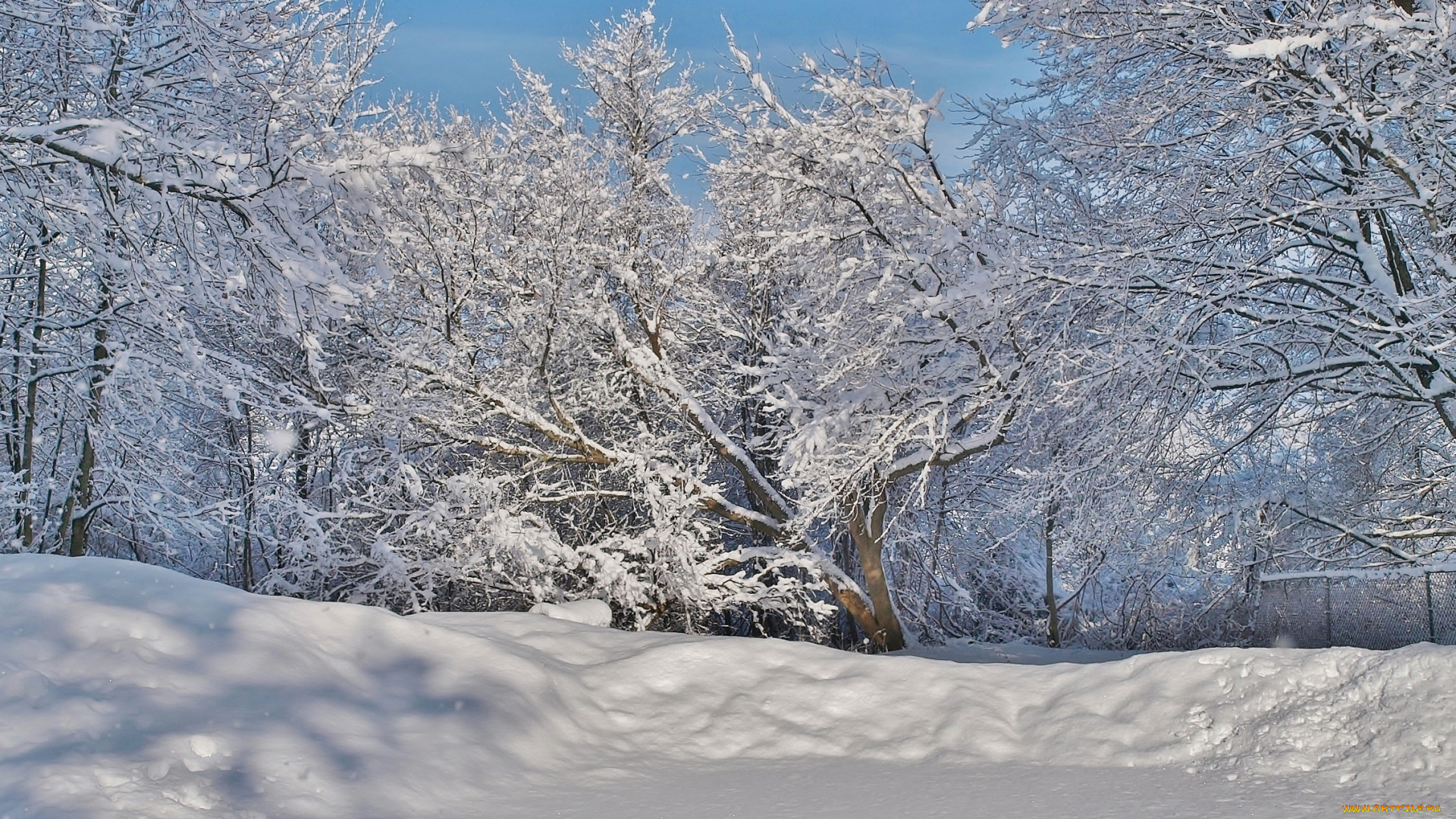 природа, зима, простор