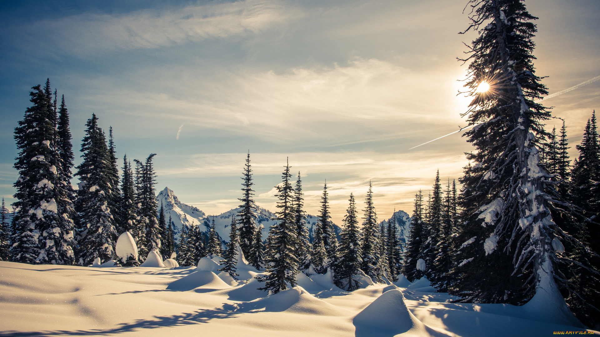 природа, зима, простор