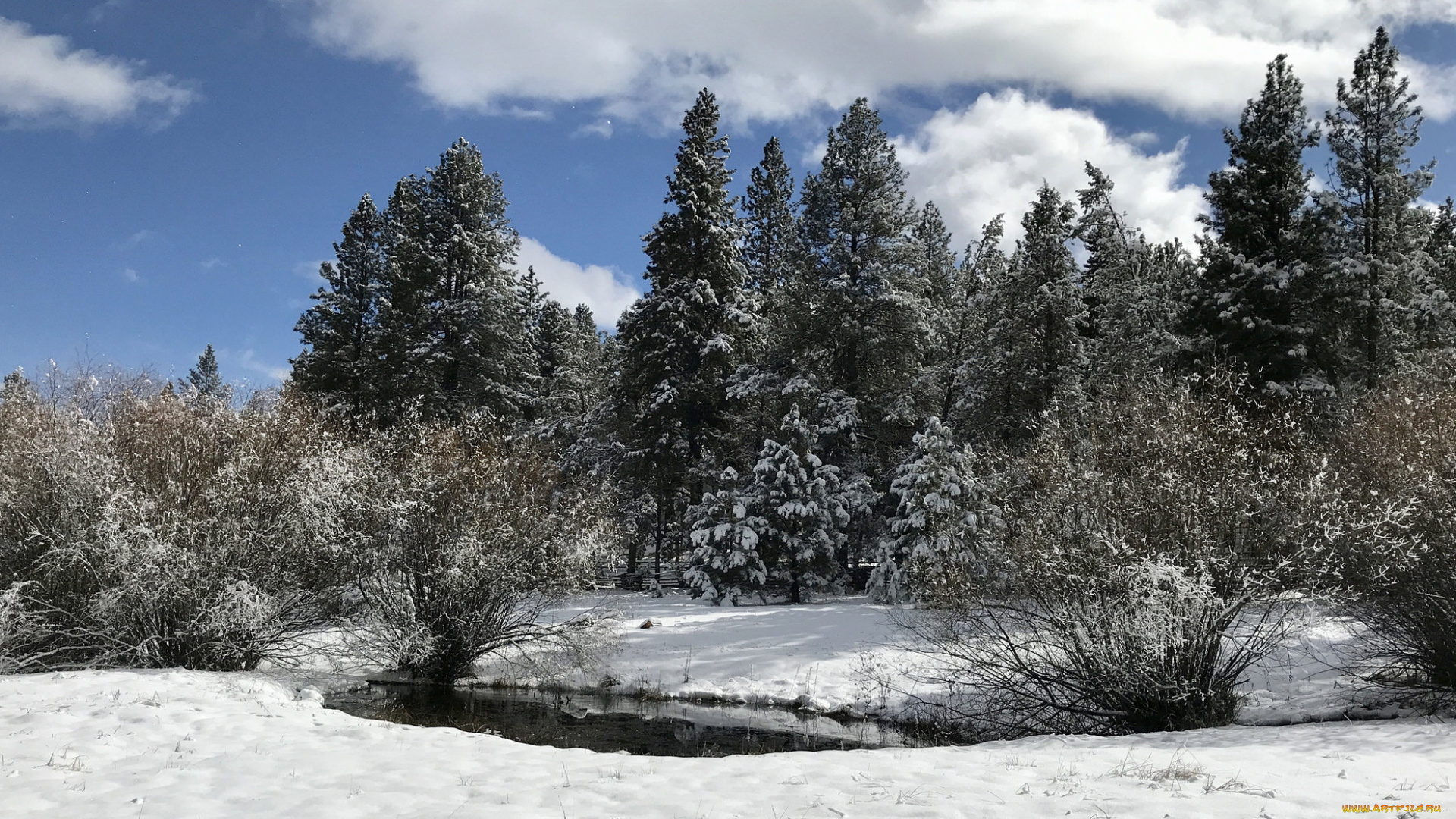 природа, зима, простор