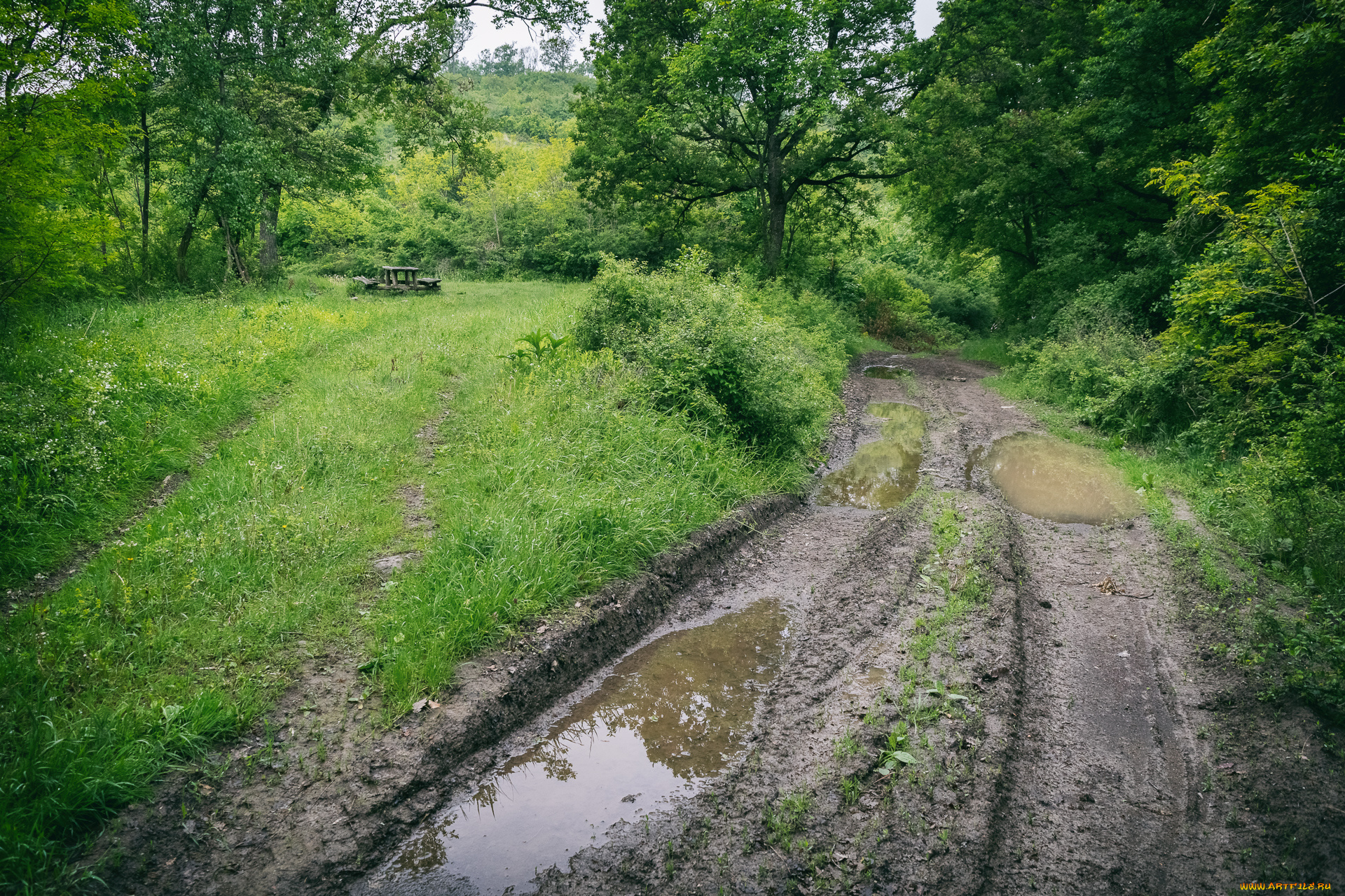 природа, дороги, простор