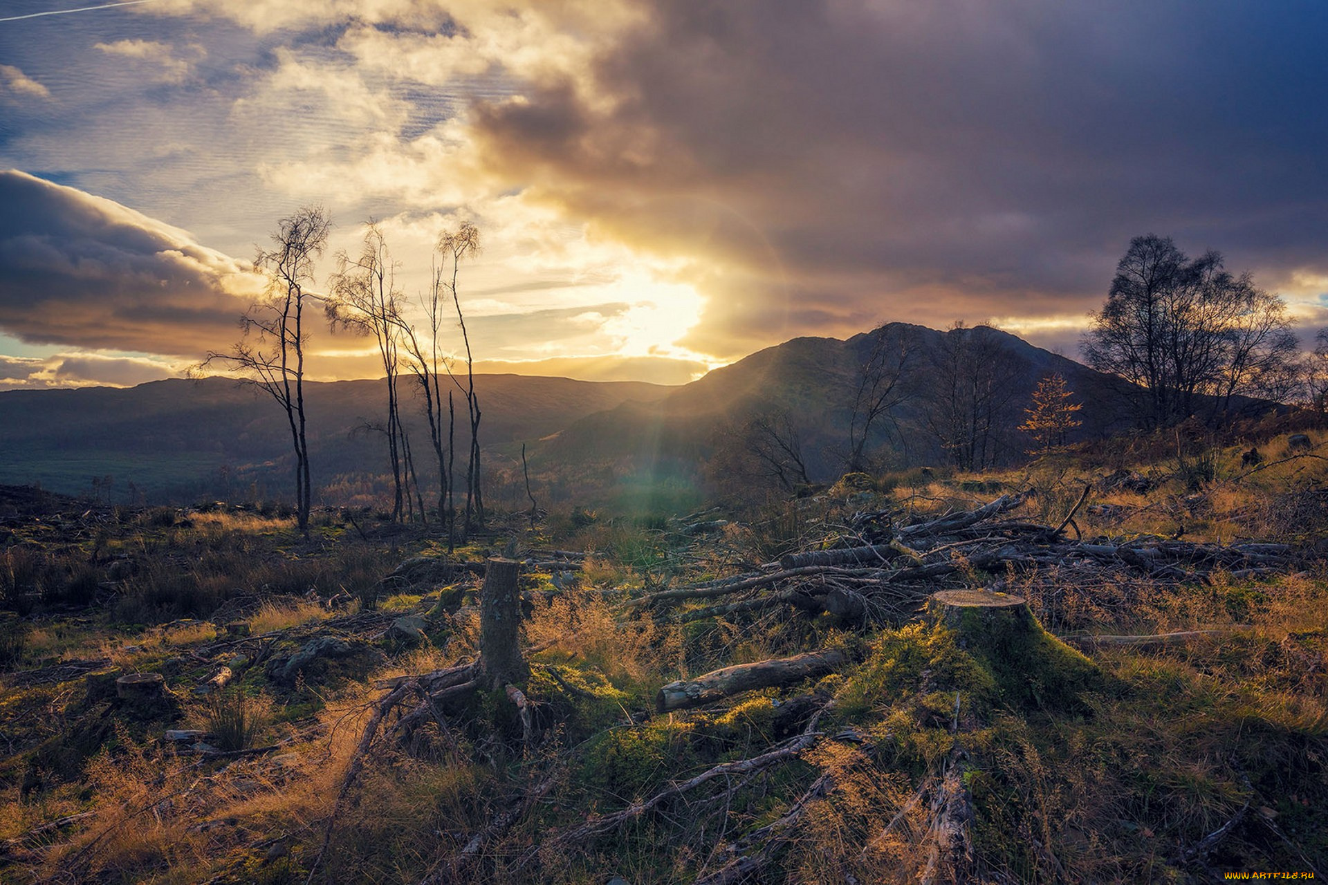 природа, пейзажи, простор