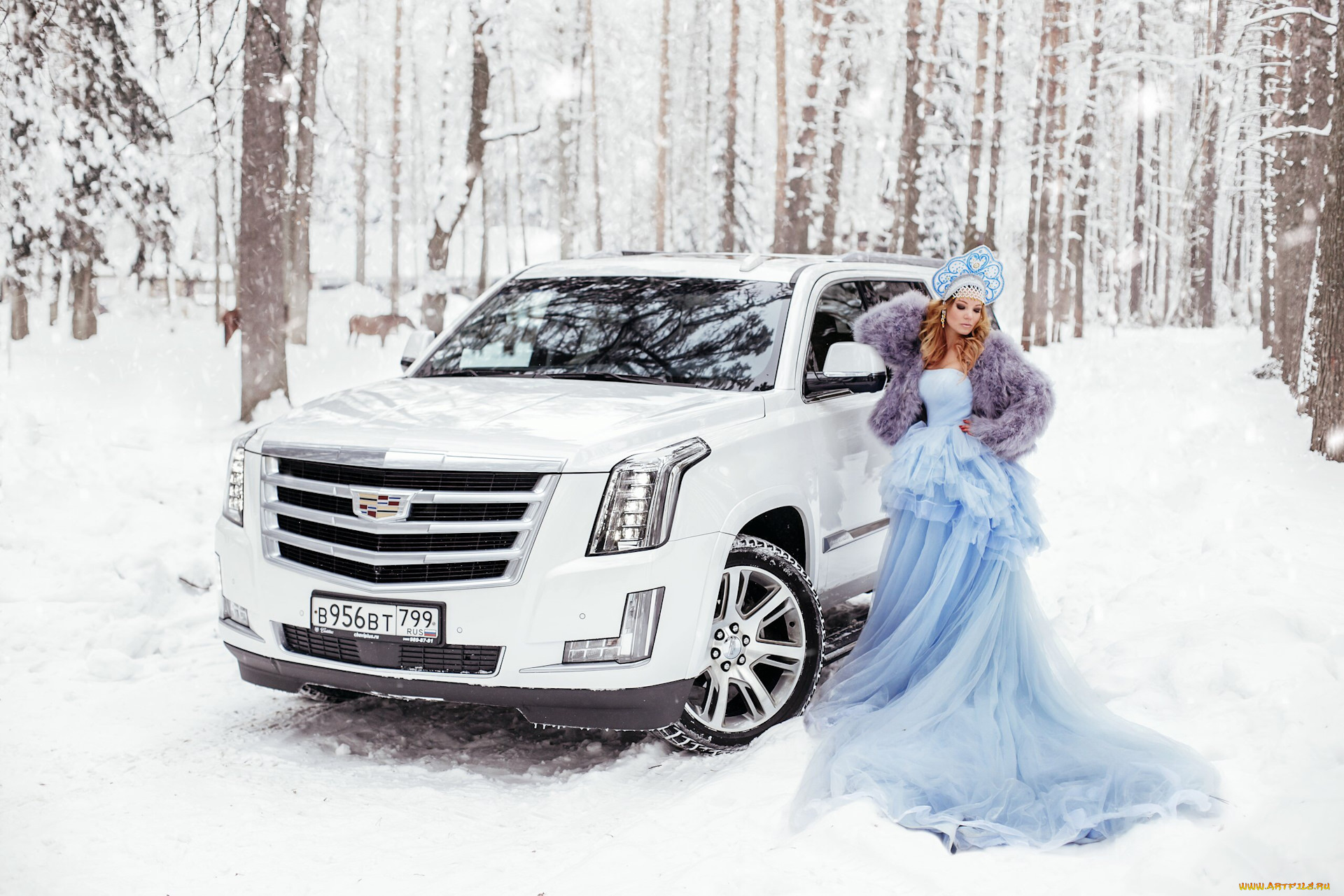 автомобили, -авто, с, девушками, девушки, авто