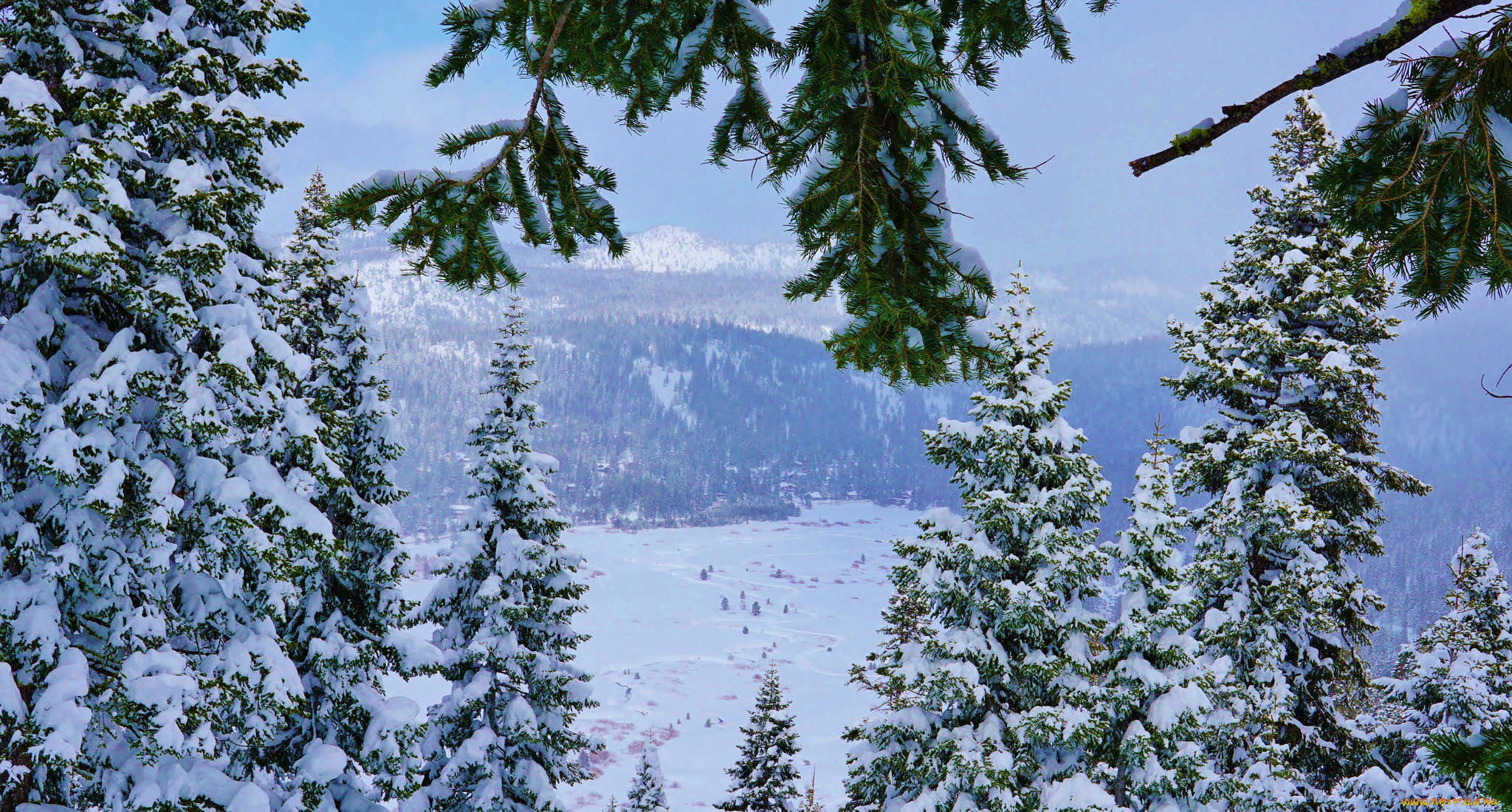 природа, зима, простор