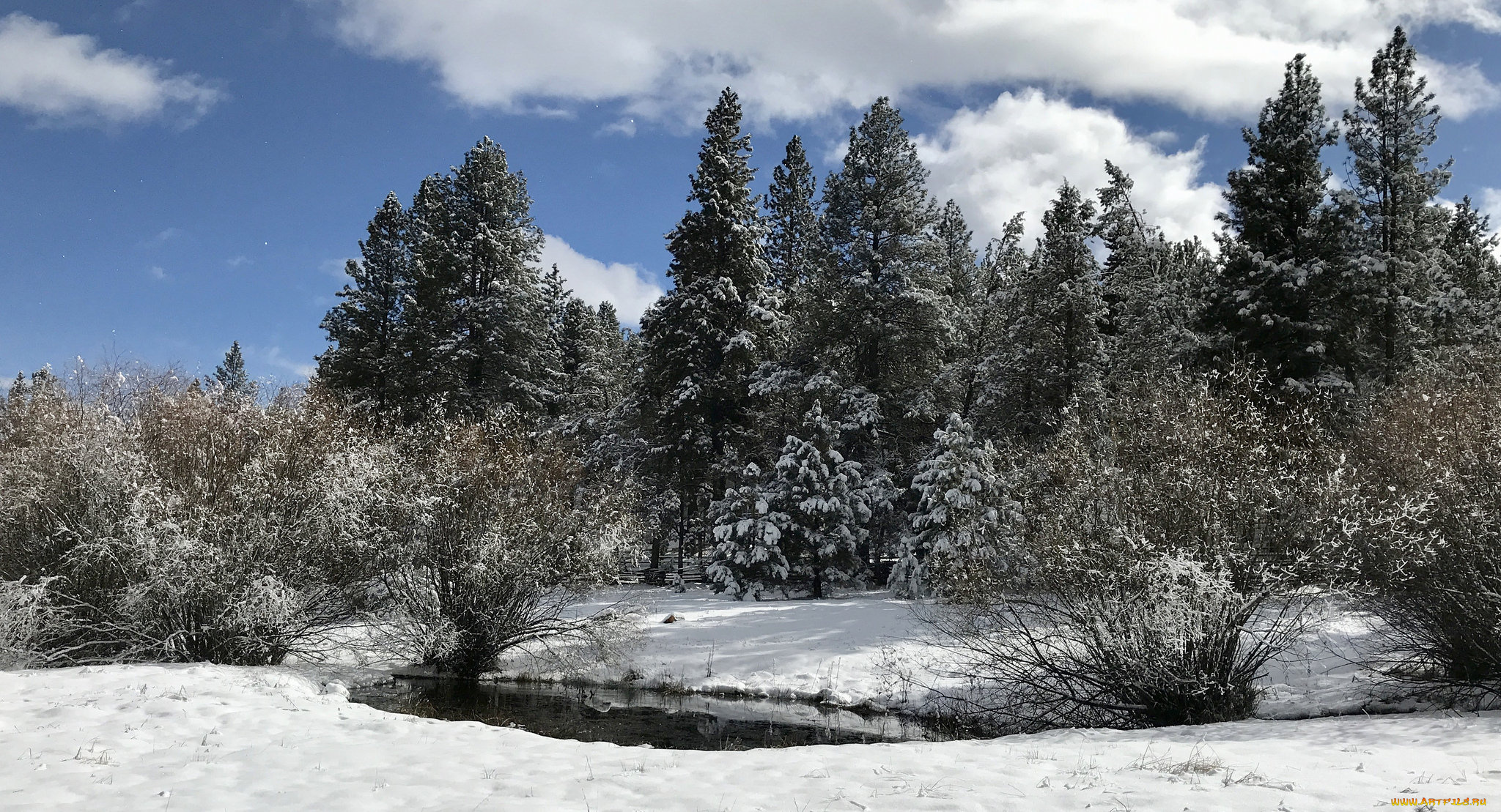 природа, зима, простор