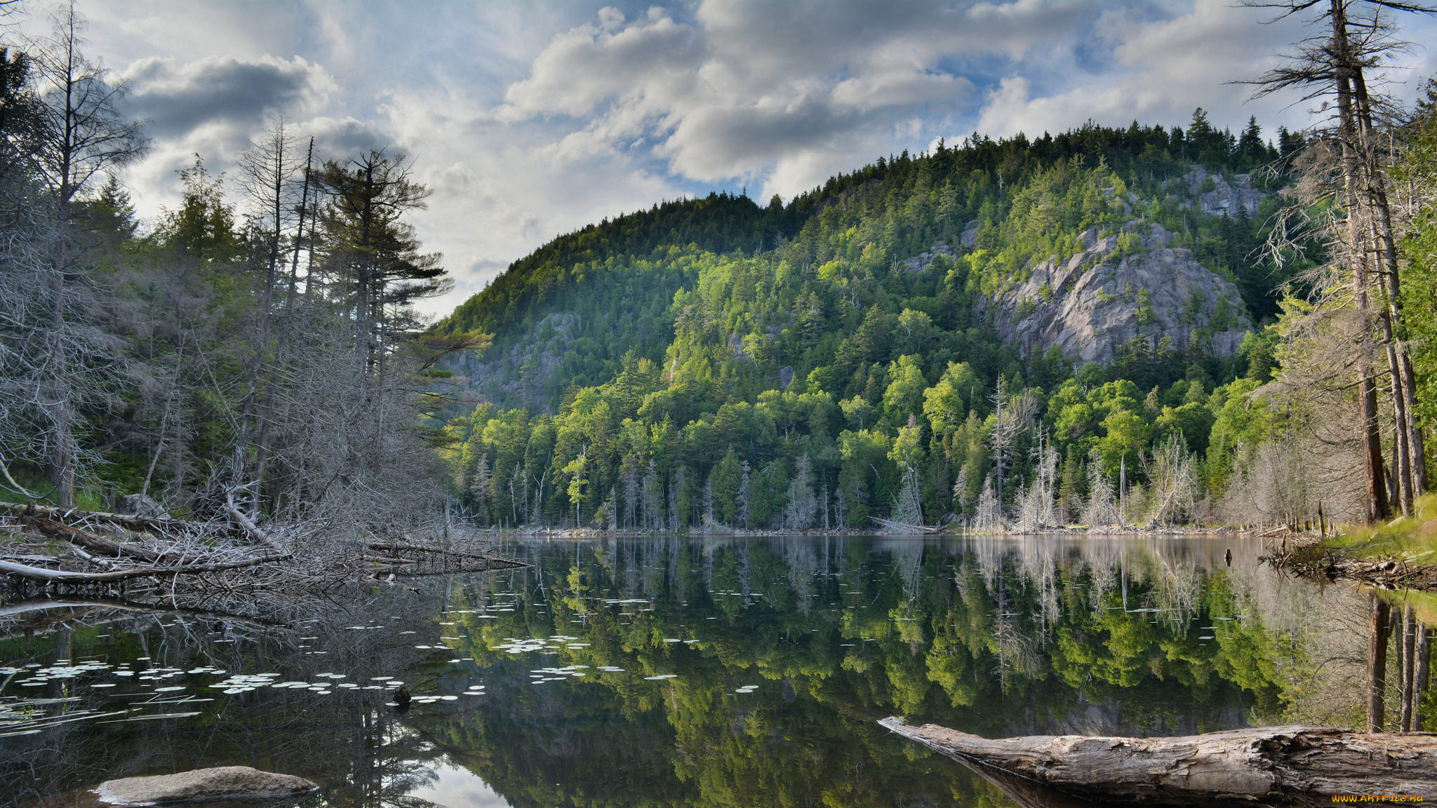 природа, реки, озера, простор