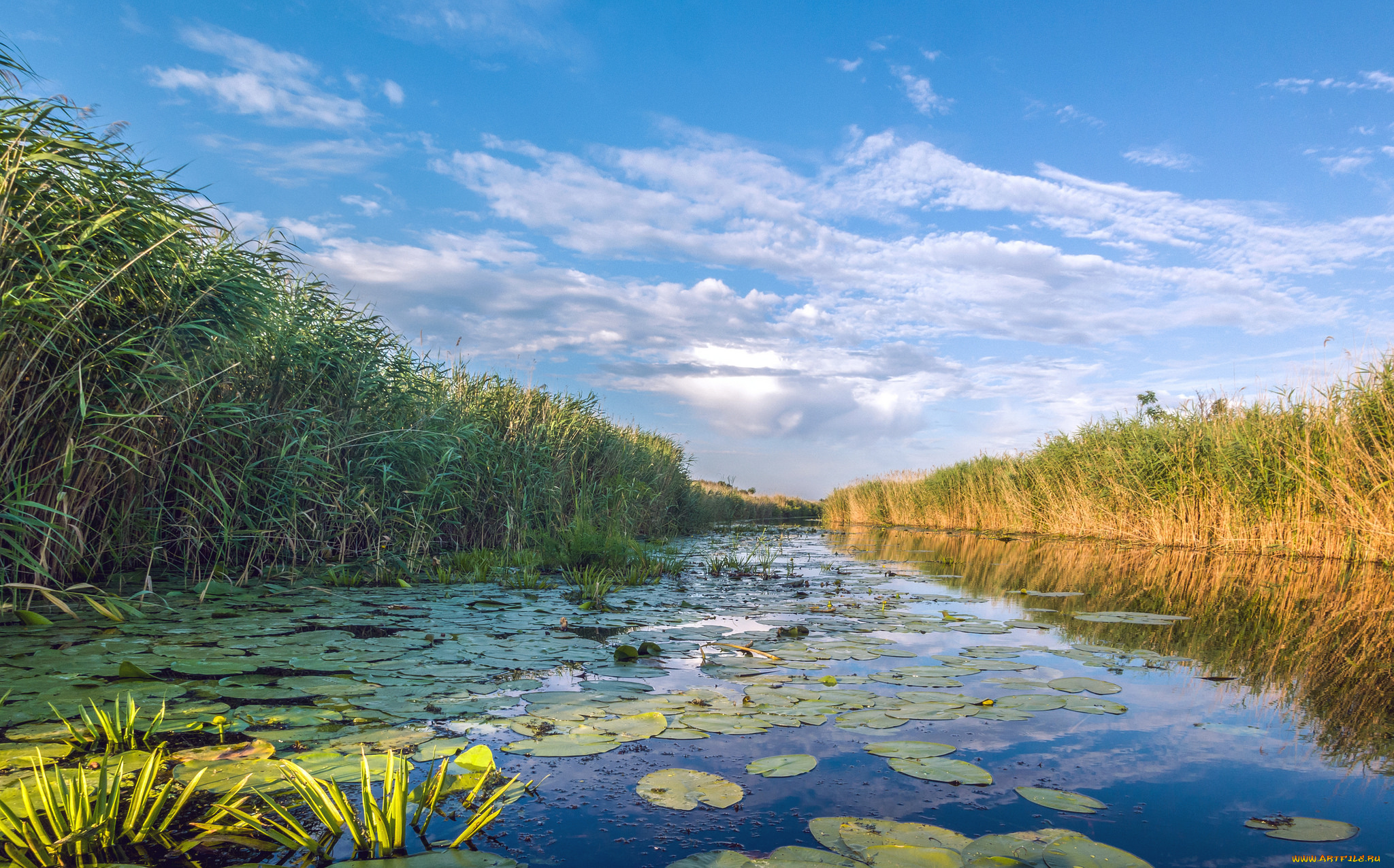 природа, реки, озера, простор