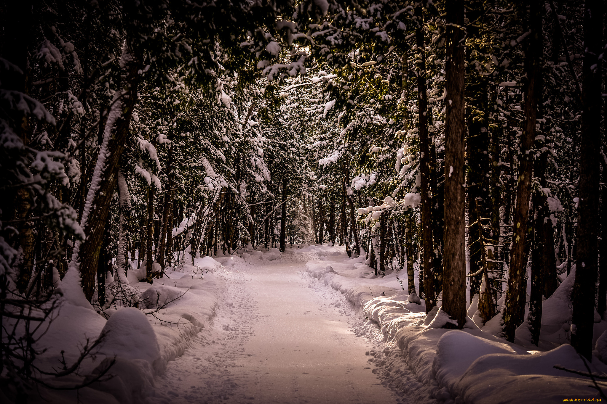 природа, дороги, простор