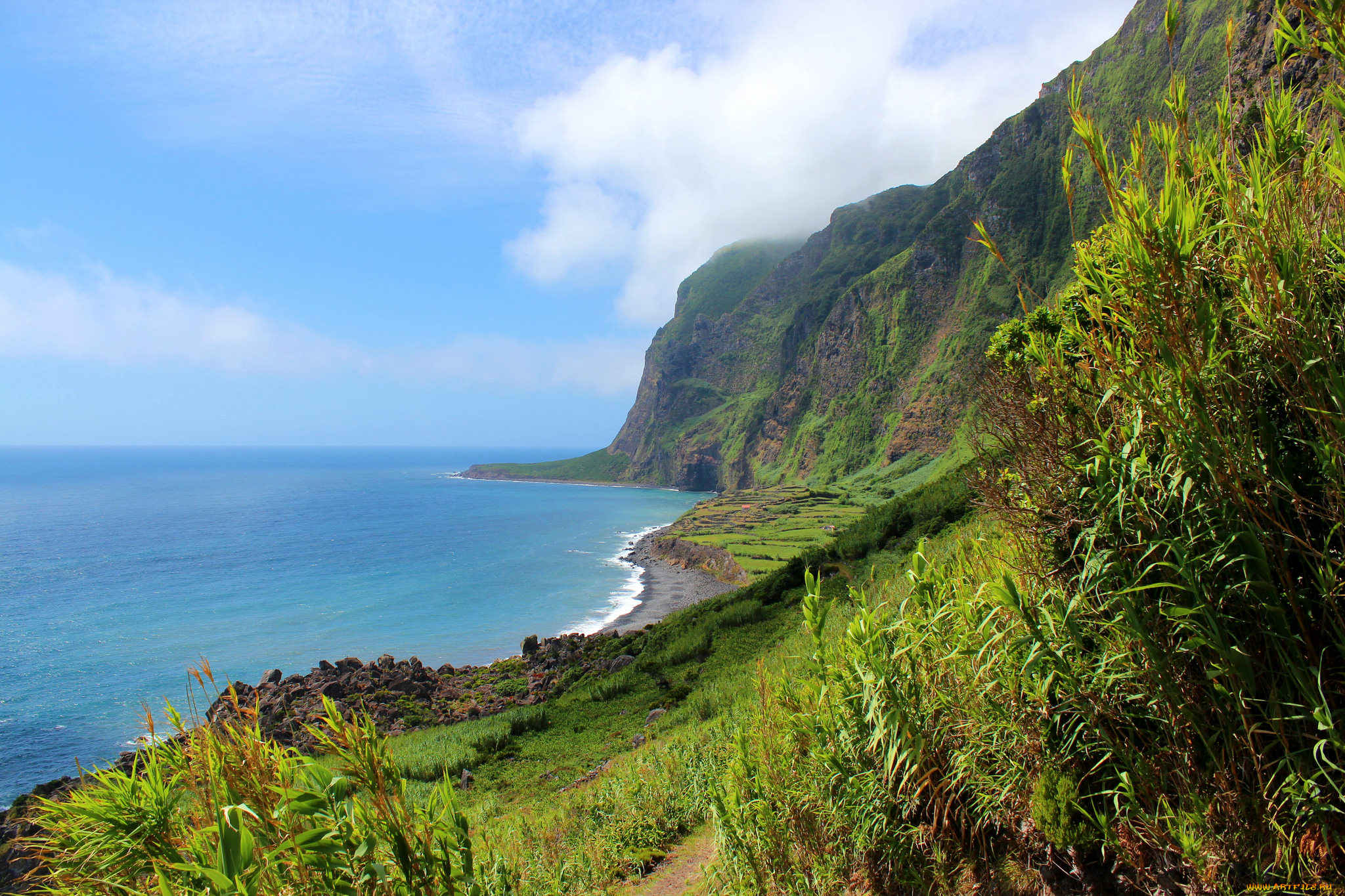 природа, побережье, простор