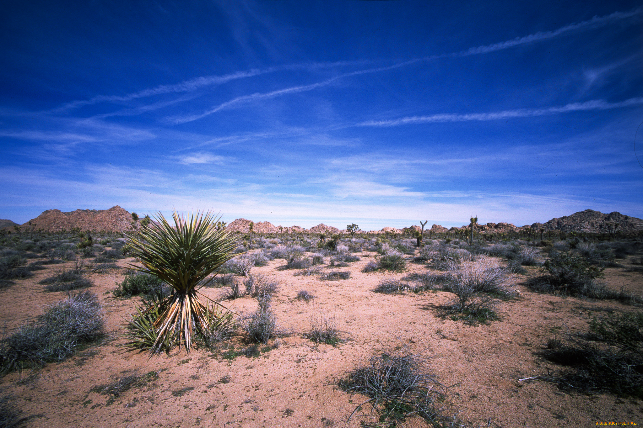 природа, пустыни, простор