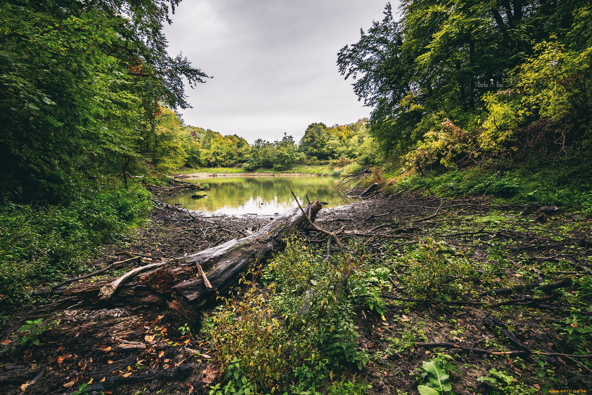 природа, реки, озера, простор
