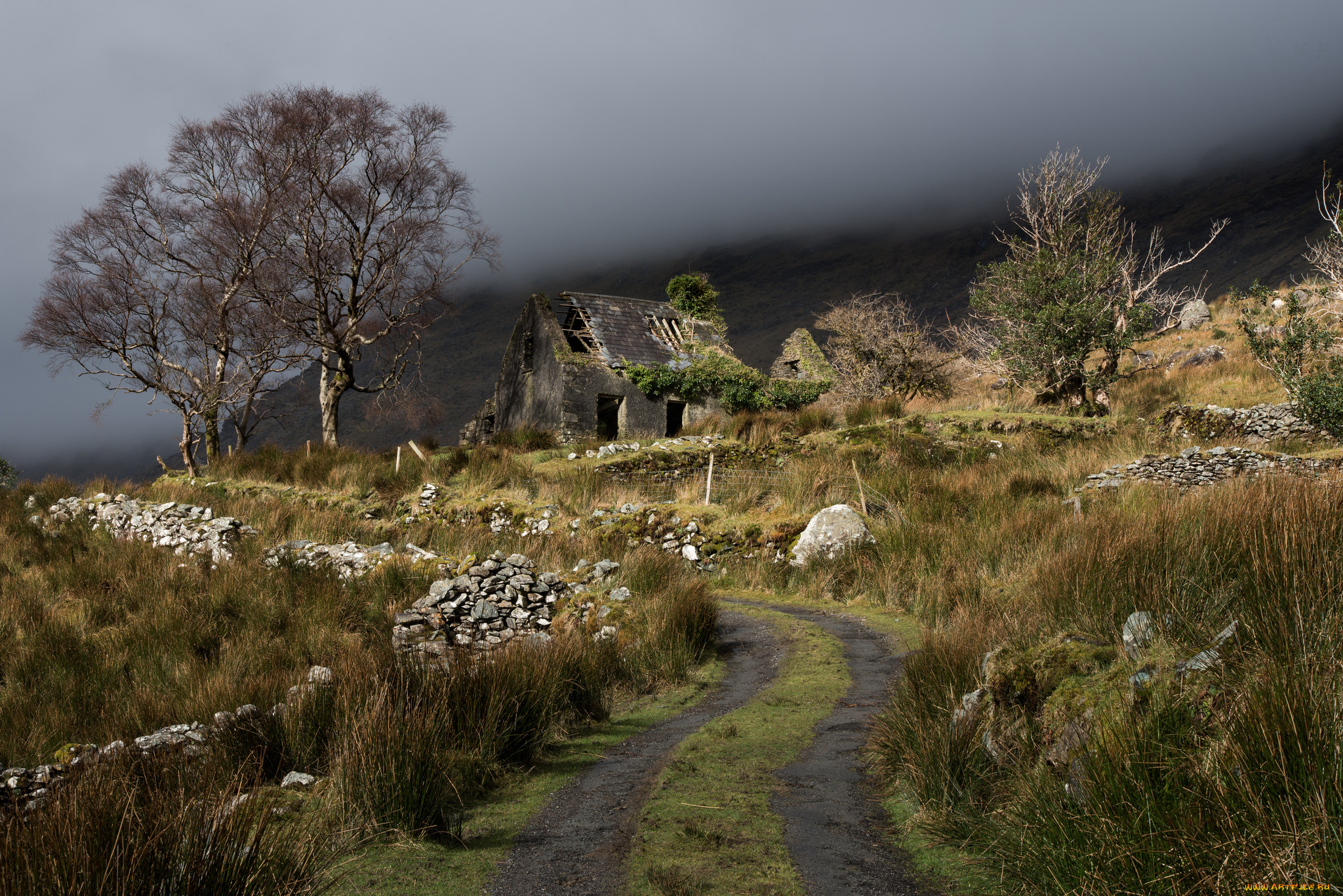 природа, дороги, простор