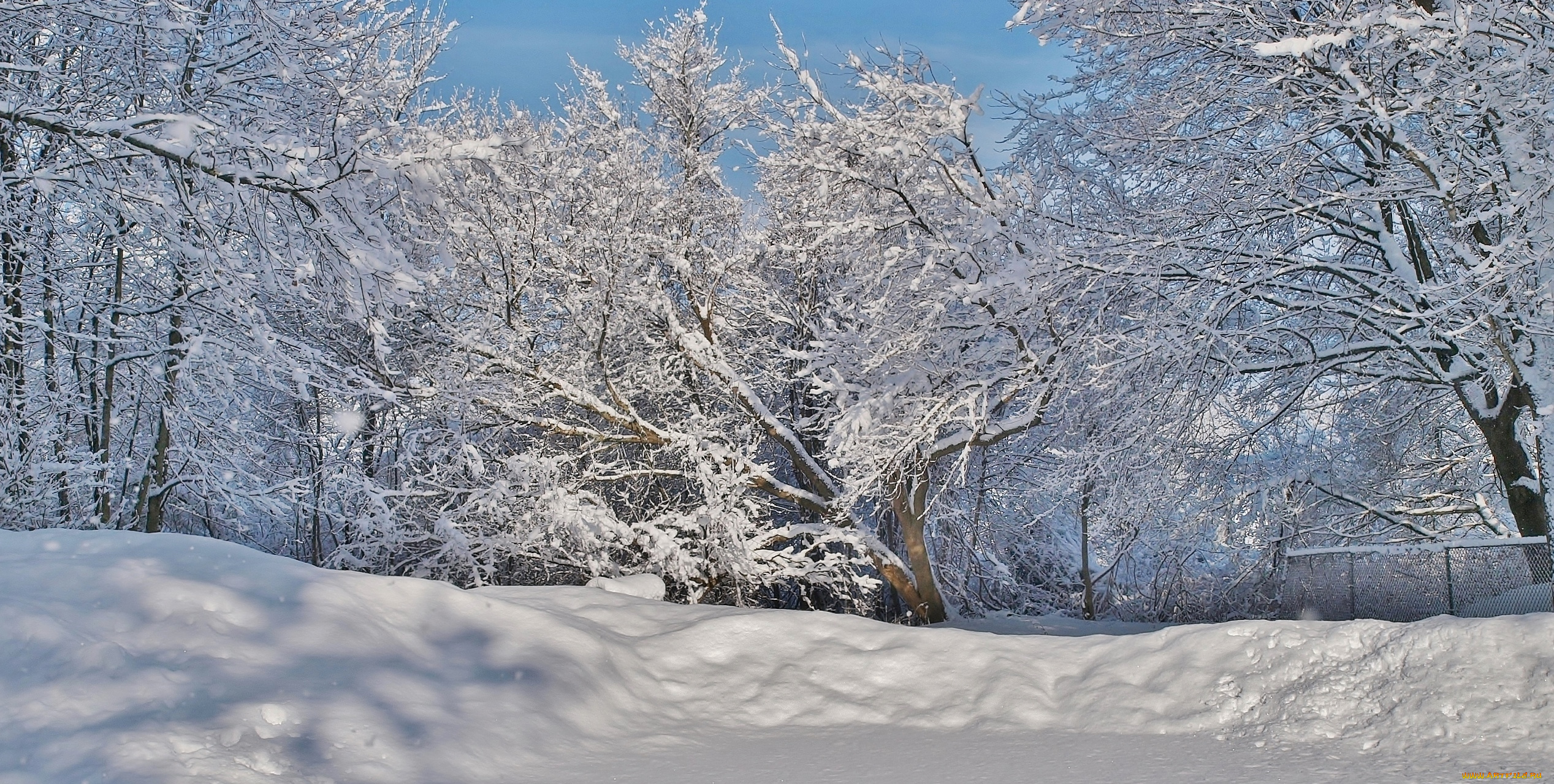 природа, зима, простор