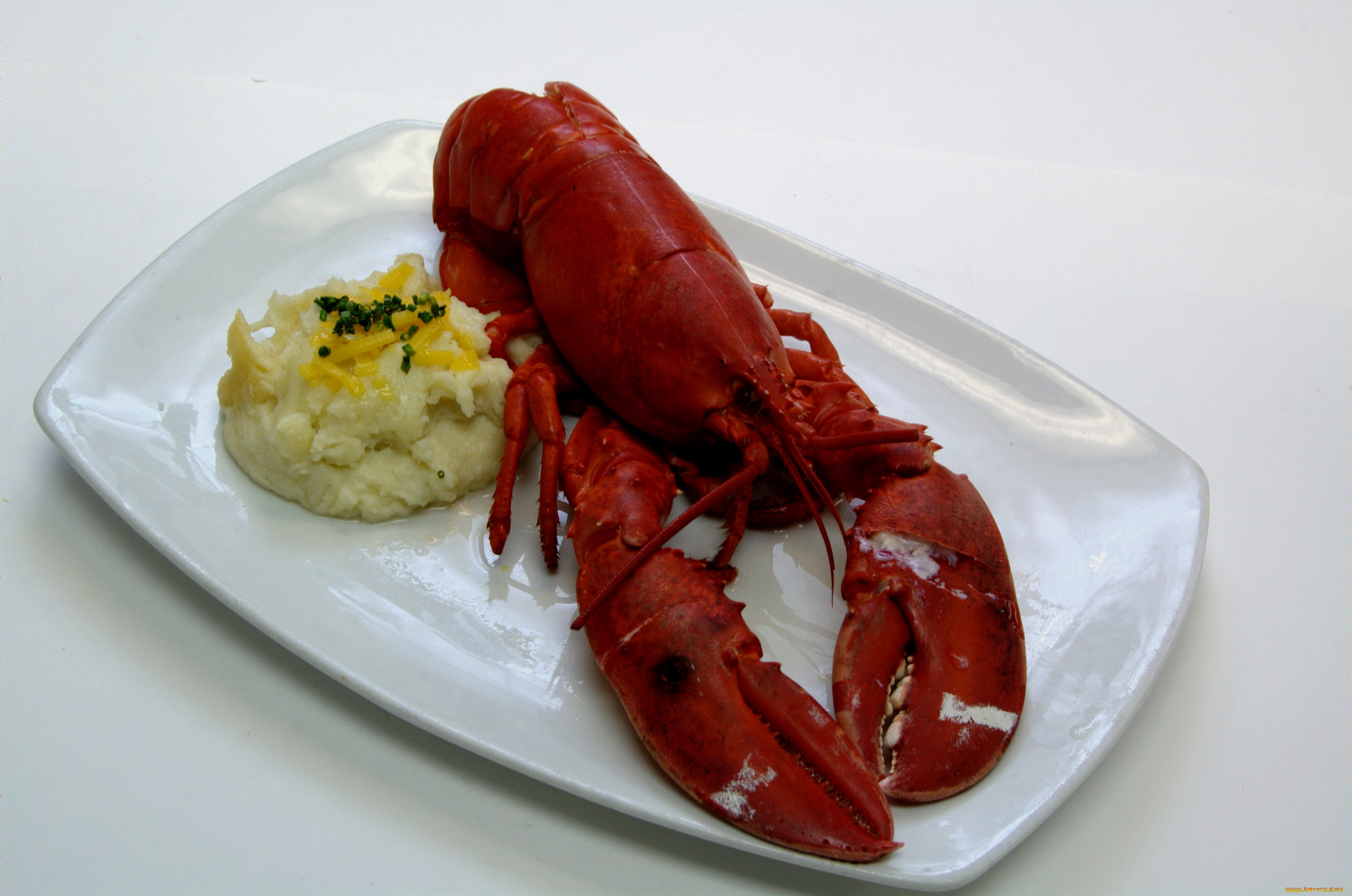 еда, рыба, , морепродукты, , суши, , роллы, лобстер