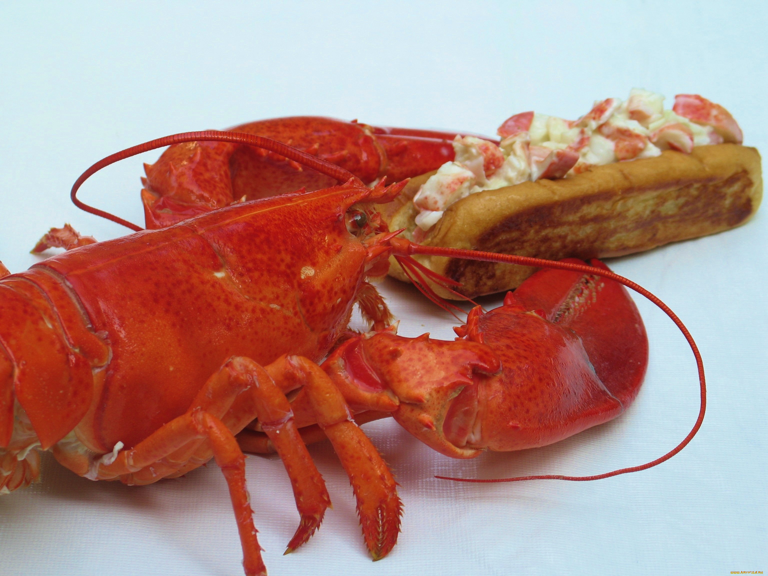 еда, рыба, , морепродукты, , суши, , роллы, лобстер